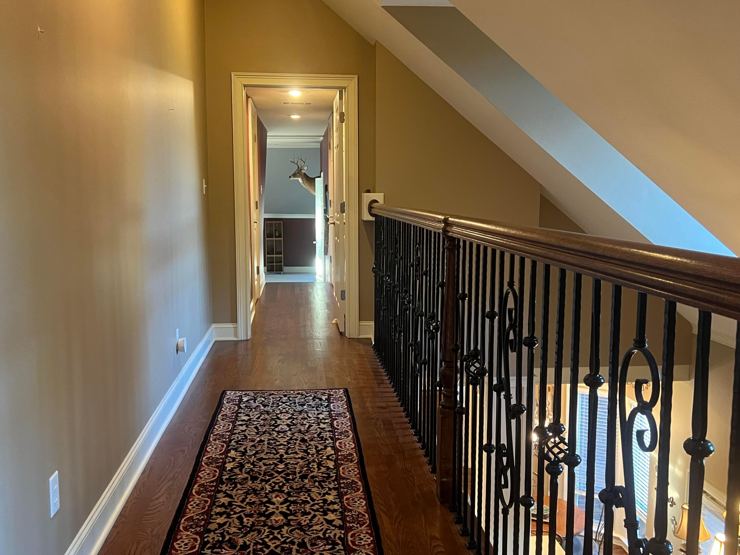 Tupelo, Mississippi, 38801, United States, 4 Bedrooms Bedrooms, ,6 BathroomsBathrooms,Residential,For Sale,1787715