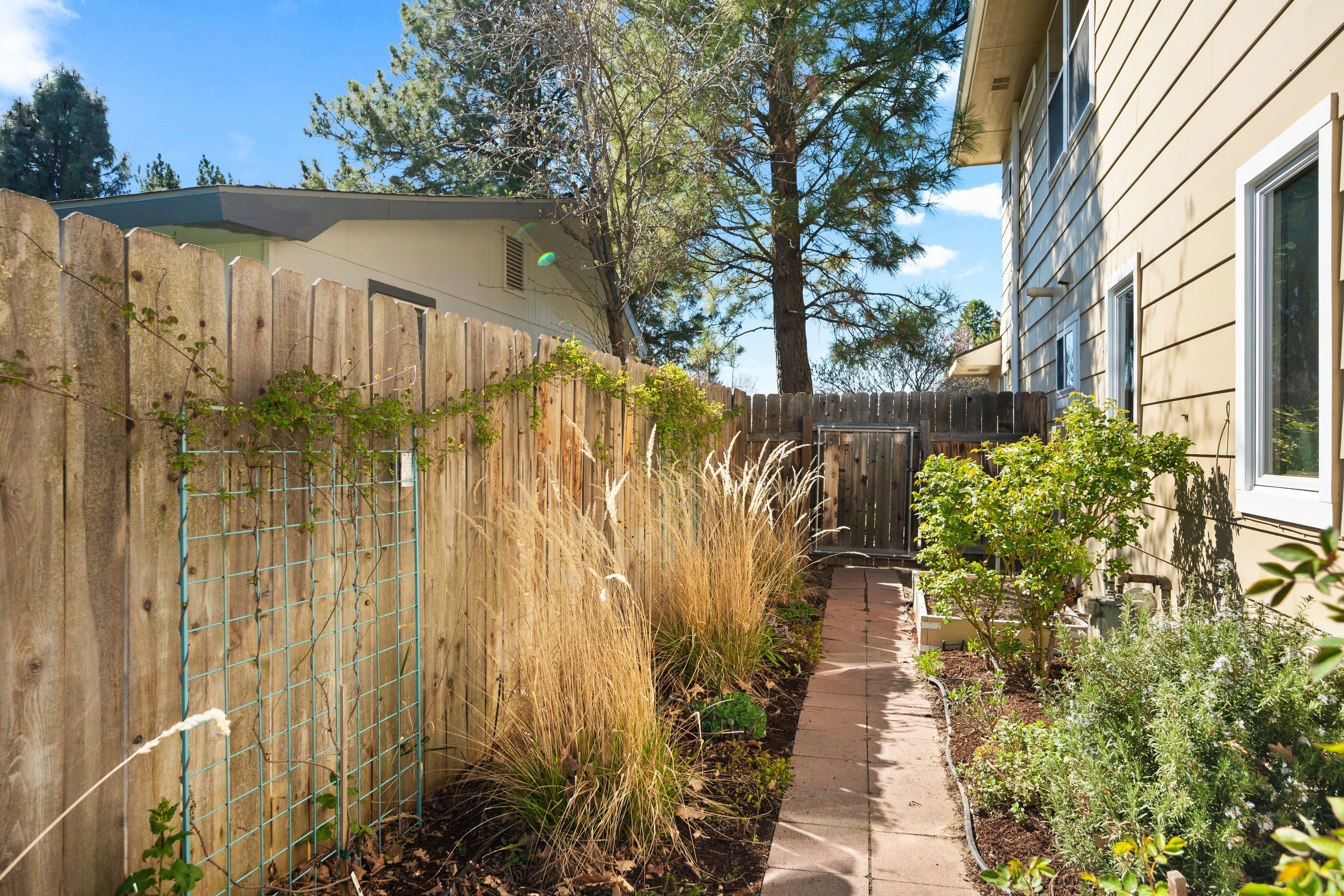  Timeless Mid-Century Design with Sunroom Living and Garden Oasis - 物件實景