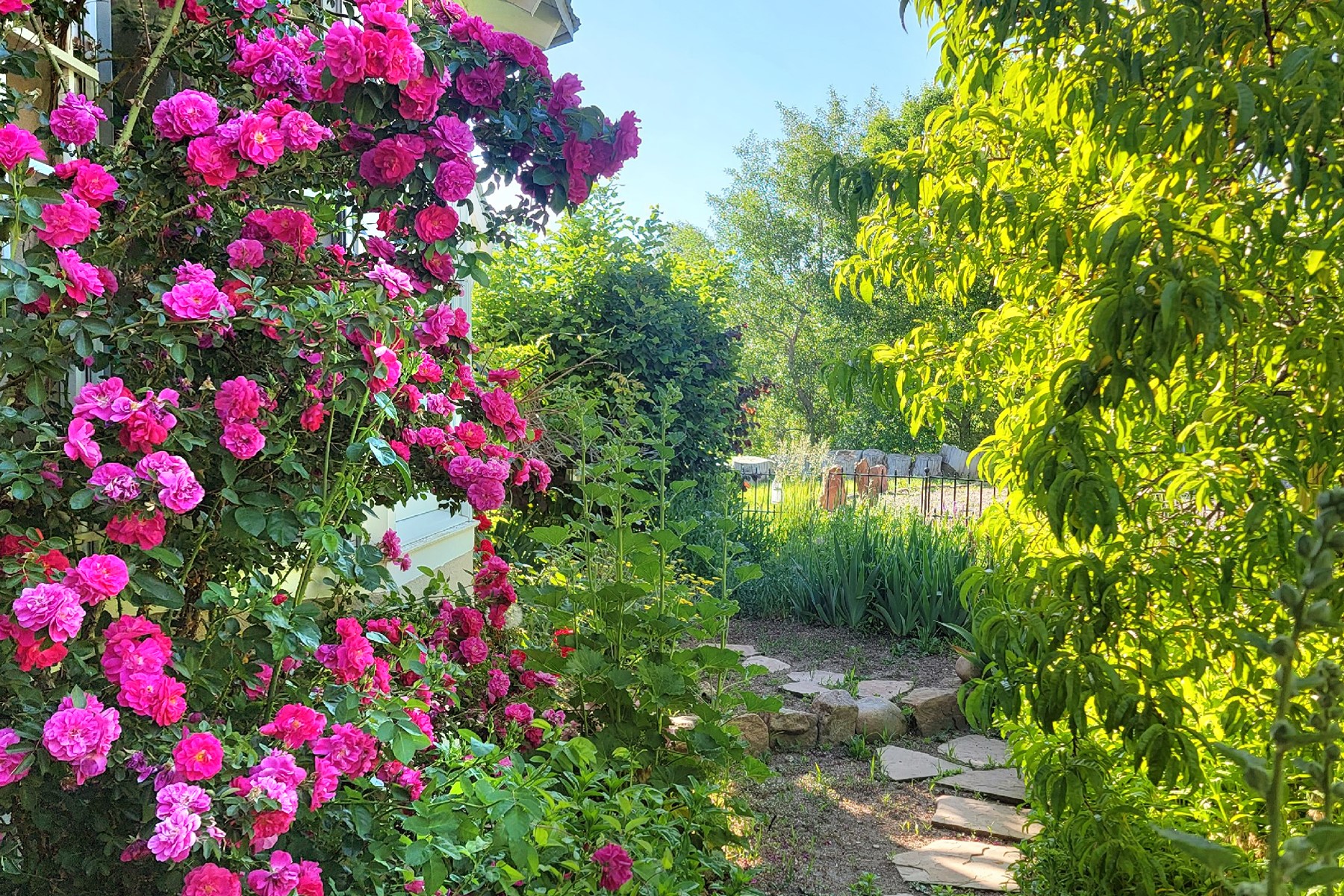  7 Camino De Pastores #A & #B - 物件實景