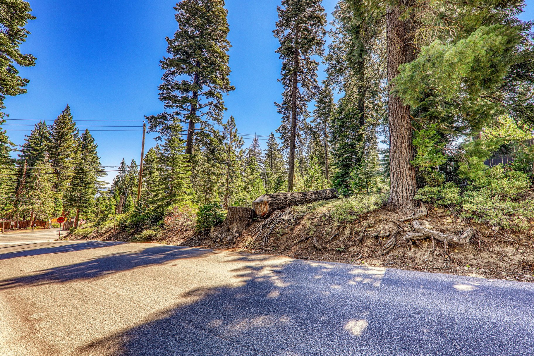  Buildable Lot Between Sunnyside and Tahoe City, Excellent Location - 物件實景