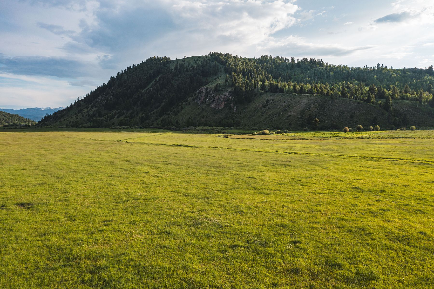  The Mead Ranch - 物件實景
