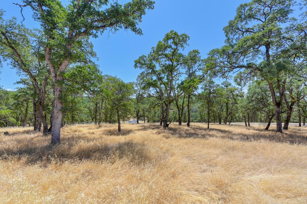 El Dorado Hills, California, 95762, United States, ,Land,For Sale,1874458