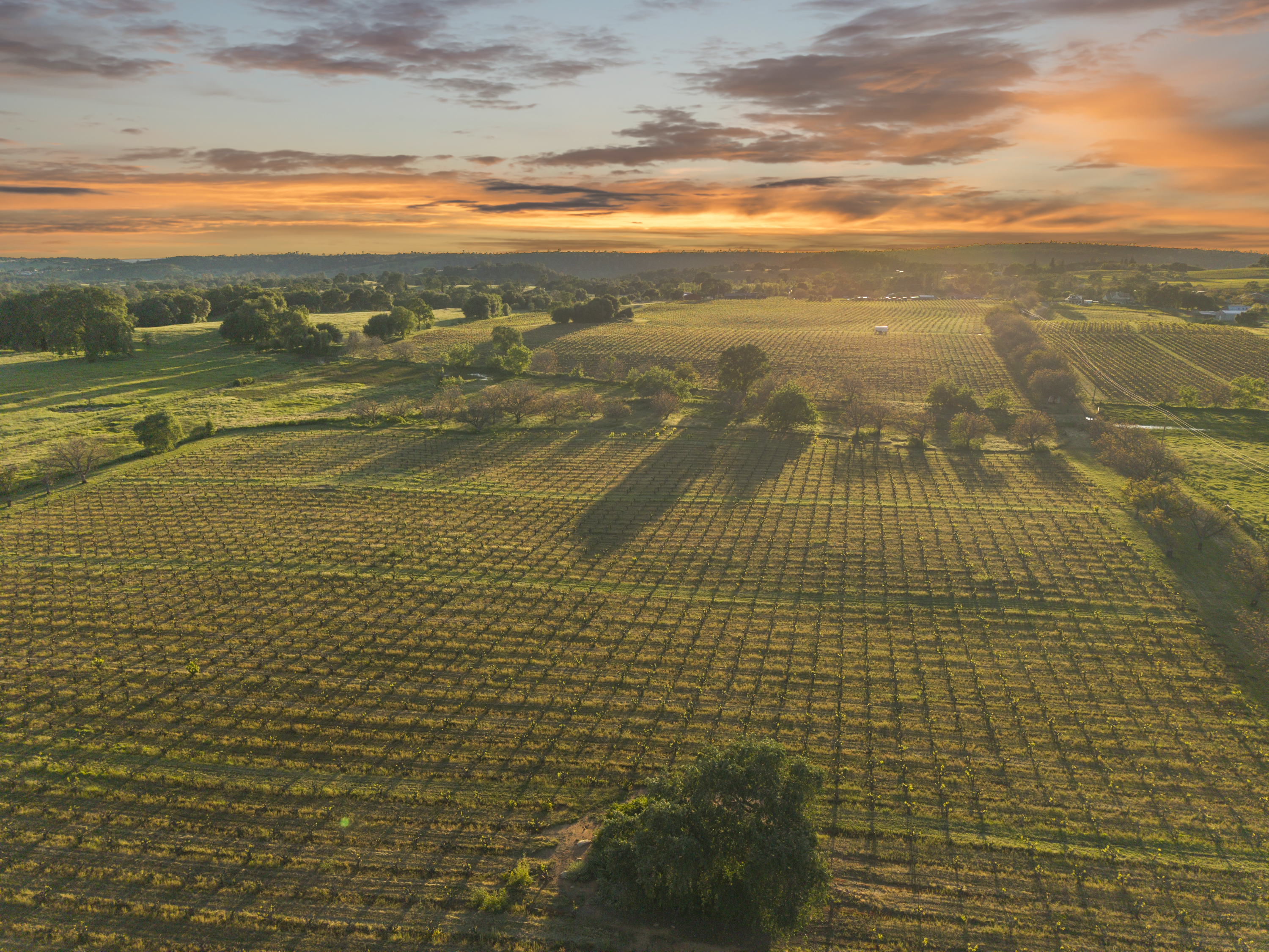  107 Acres - Seasonal Creek - Legacy - 物件實景
