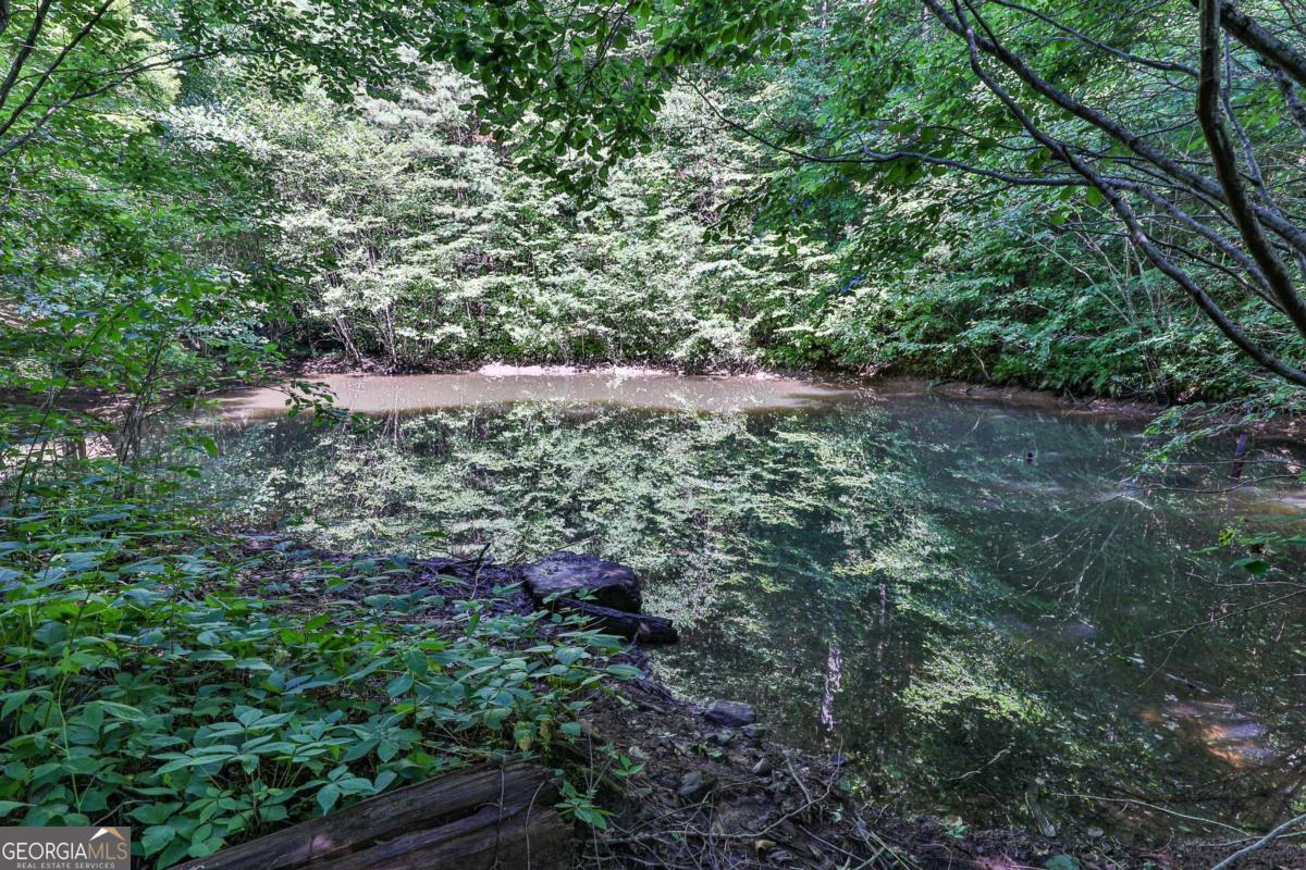 Cherry Log, Georgia, 30522, United States, ,Land,For Sale,1859131