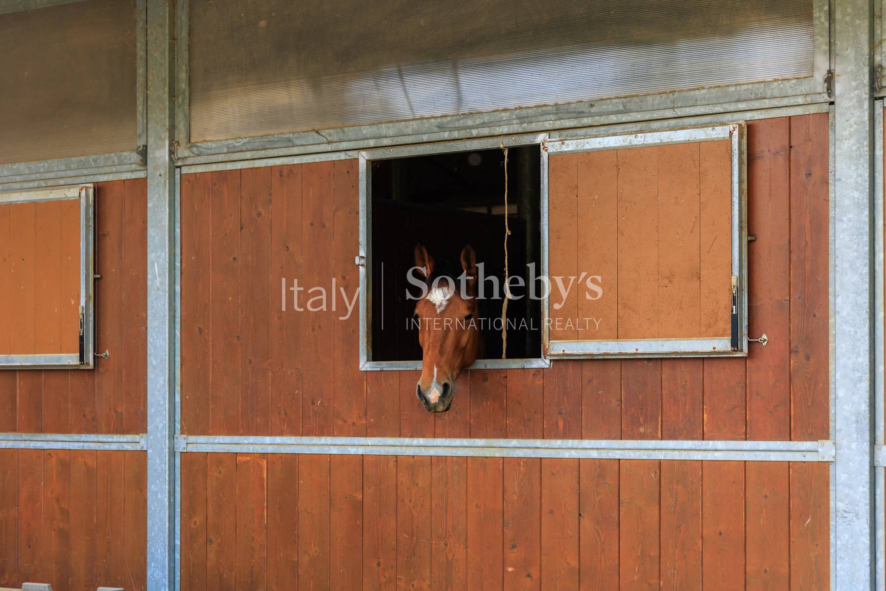  Stunning estate with stables in San Miniato - 物件實景