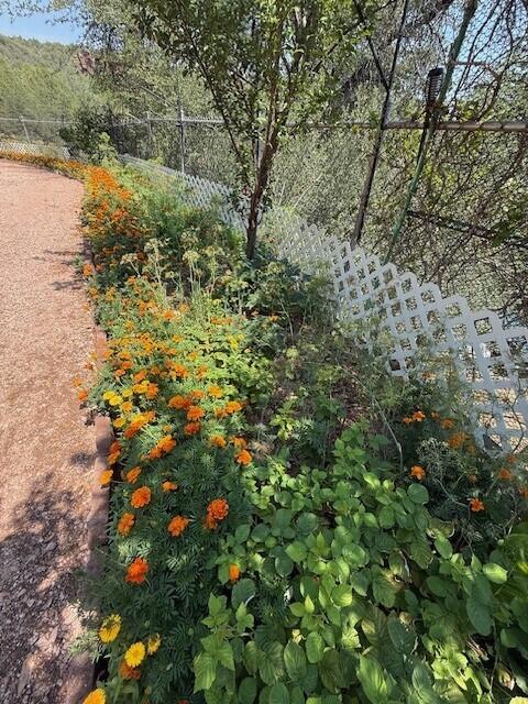 Payson, Arizona, 85541, United States, 4 Bedrooms Bedrooms, ,1 BathroomBathrooms,Residential,For Sale,1795141