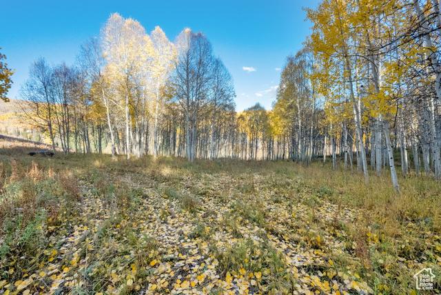 Heber City, Utah, 84032, United States, 6 Bedrooms Bedrooms, ,5 BathroomsBathrooms,Residential,For Sale,1974398