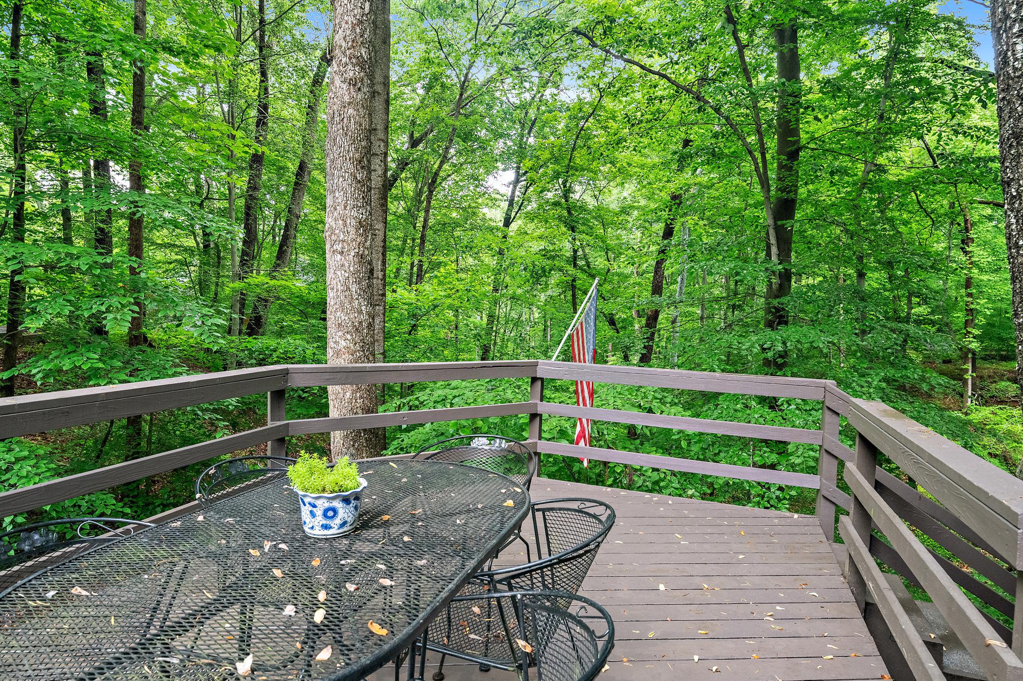  1689 Alice Court, Annapolis, MD, 21401 - 物件實景