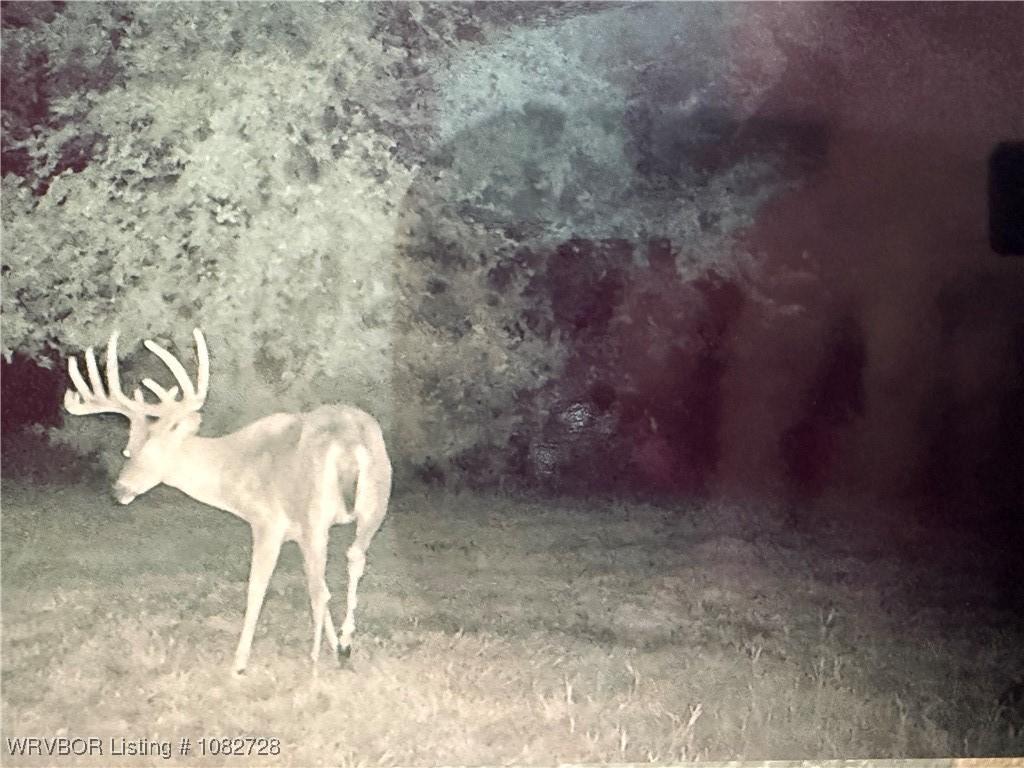 McCurtain, Oklahoma, 74944, United States, 3 Bedrooms Bedrooms, ,2 BathroomsBathrooms,Residential,For Sale,1977810