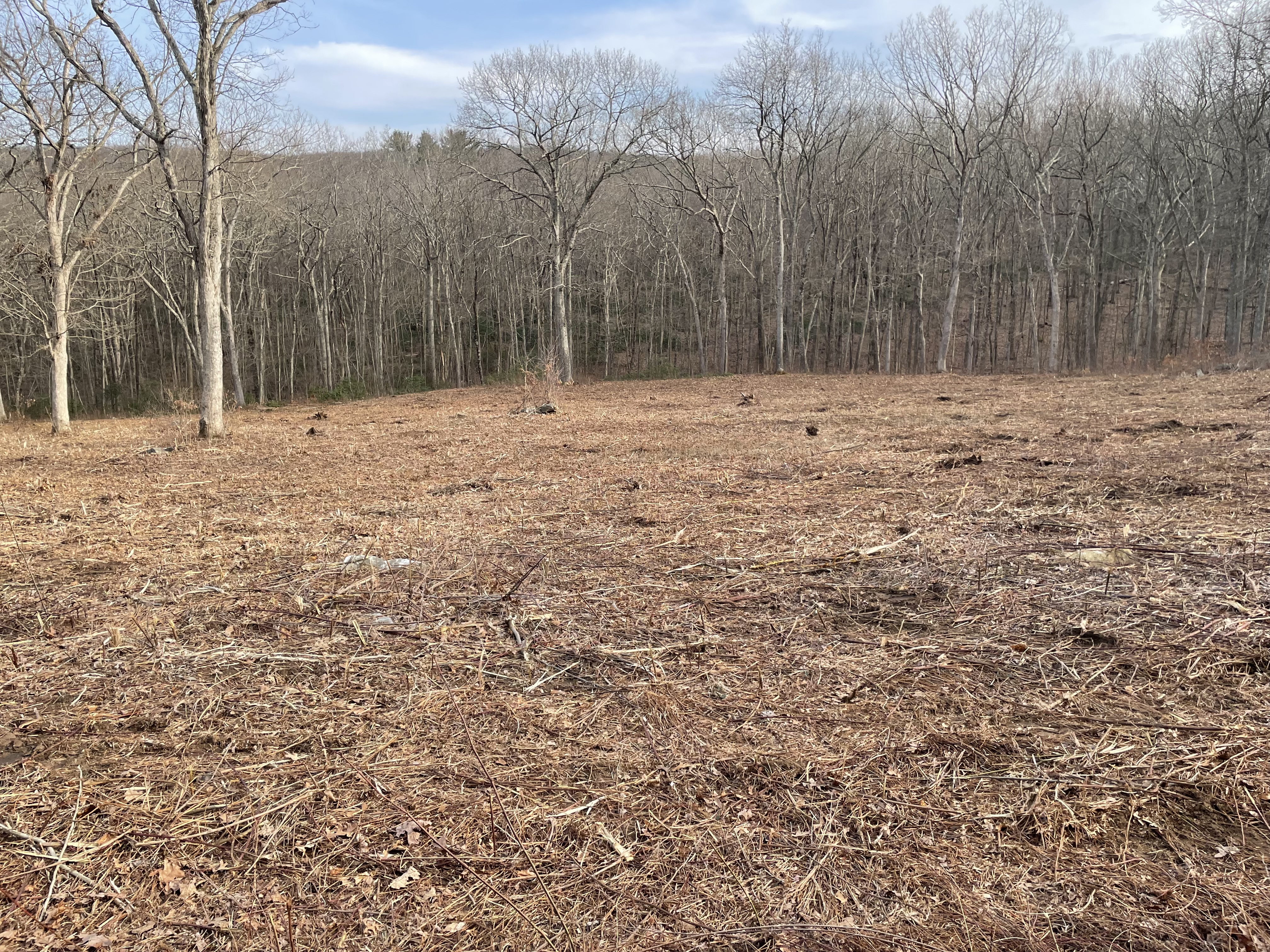  197 Tinker Hill Road - 物件實景