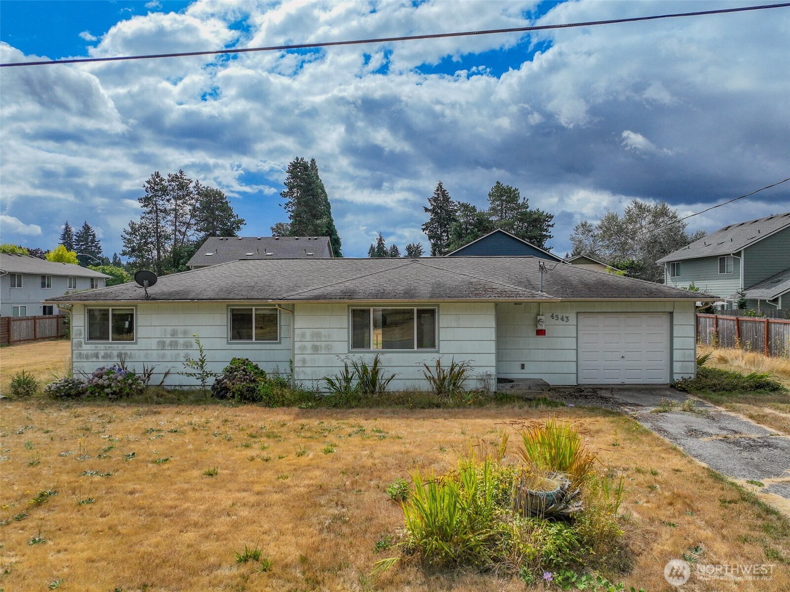 19th Ave, Lacey, WA 98503