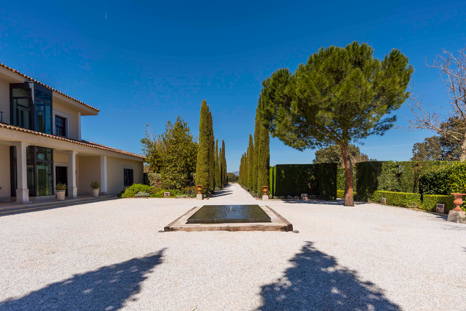  Equestrian estate: Elegance, nature, and horses at the gates of Madrid - 物件實景