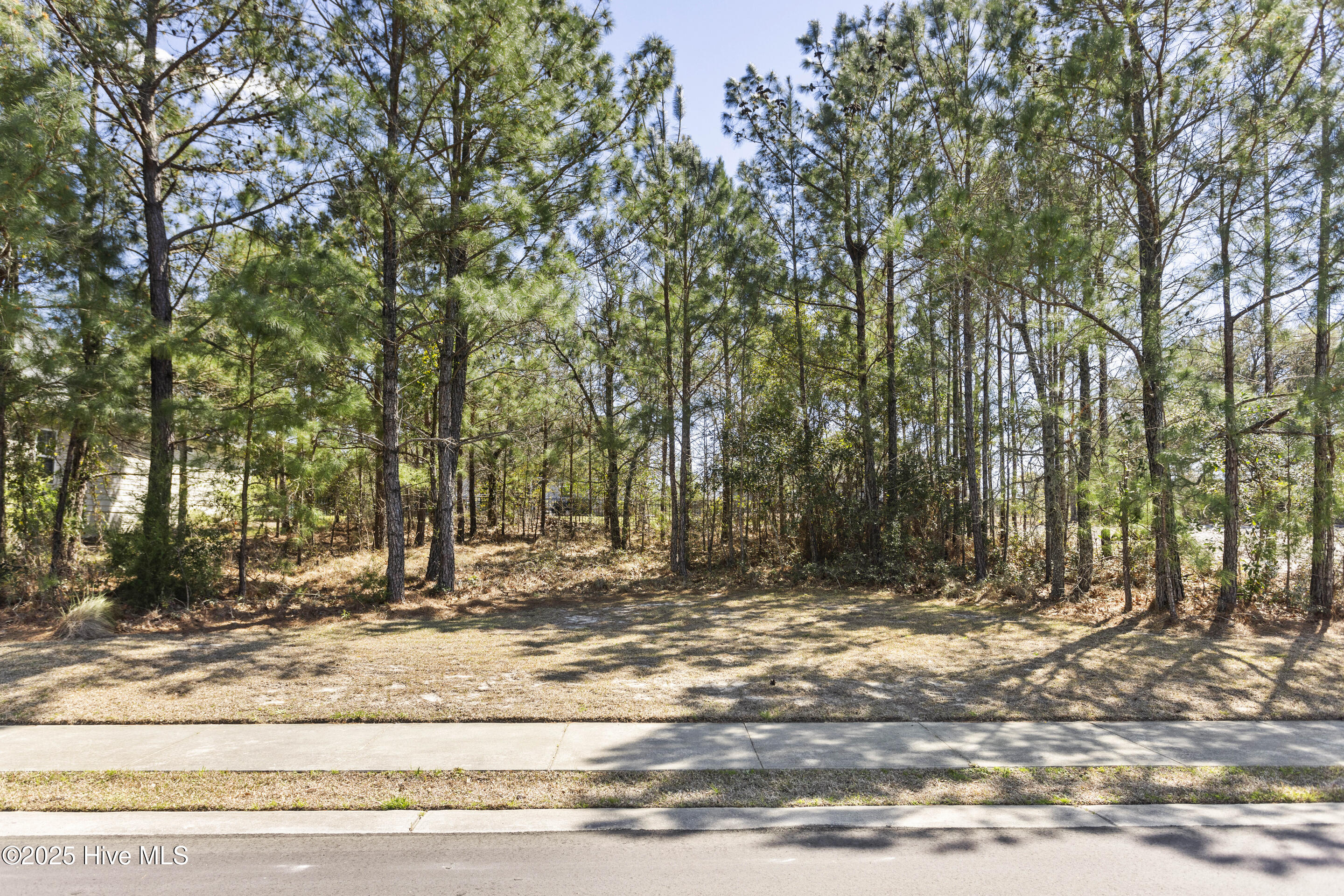 Shallotte, North Carolina, 28470, United States, 4 Bedrooms Bedrooms, ,3 BathroomsBathrooms,Residential,For Sale,1754571
