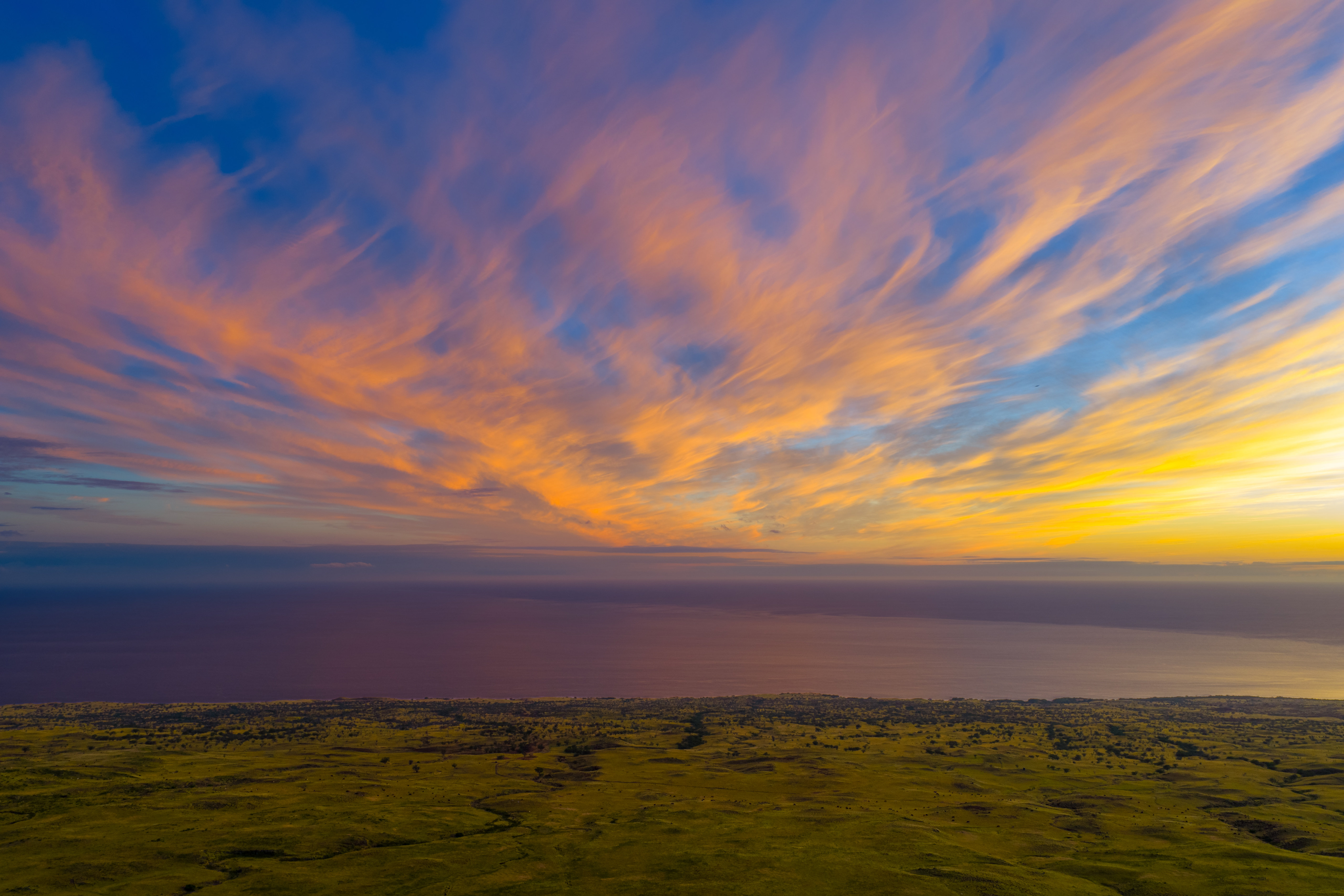 695 Ualani Pl, Kamuela, HI, 96743 - 物件實景