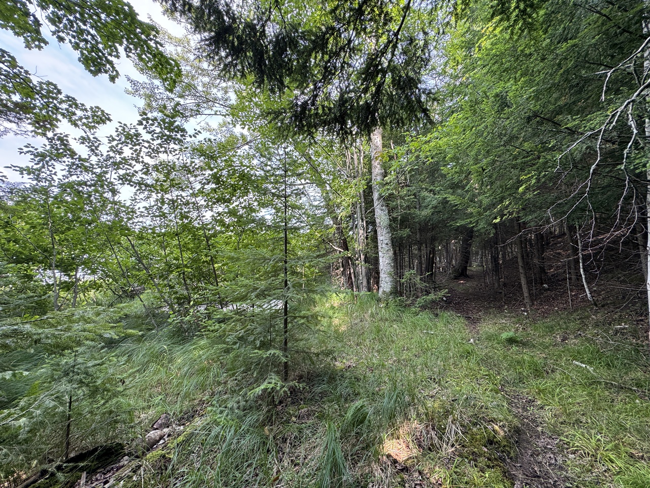 Mercer, Wisconsin, 54547, United States, 3 Bedrooms Bedrooms, ,1 BathroomBathrooms,Residential,For Sale,1974621