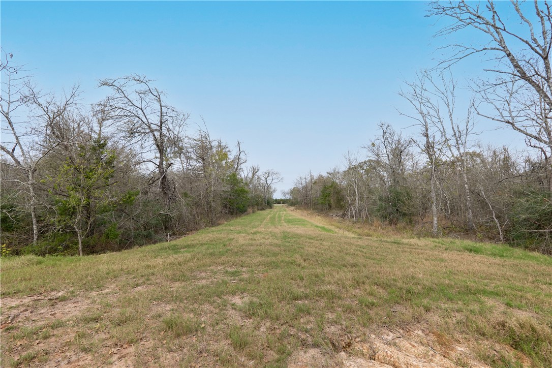 Thornton, Texas, 76687, United States, ,Land,For Sale,2003074