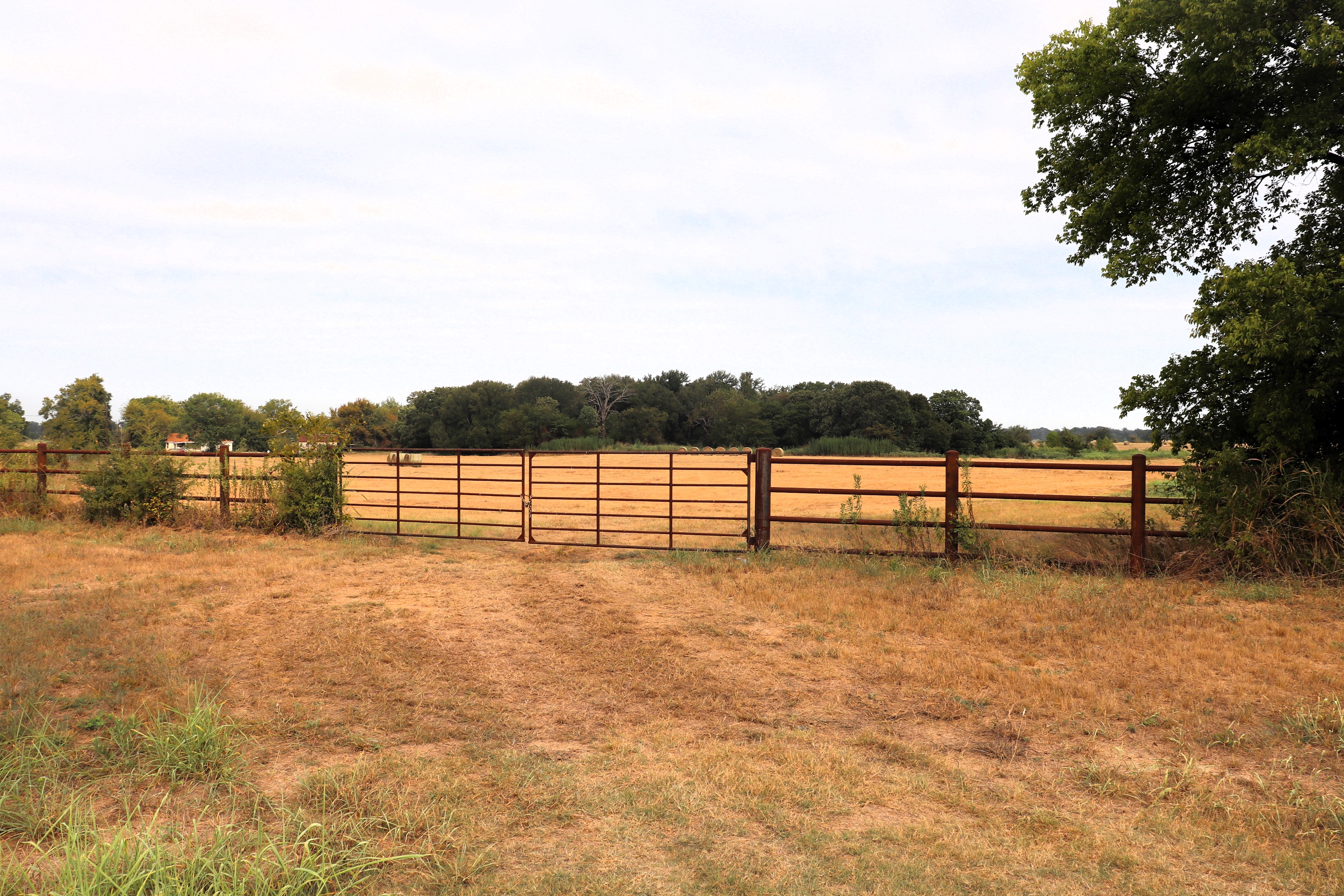 Cumby, Texas, 75433, United States, ,Land,For Sale,1987346