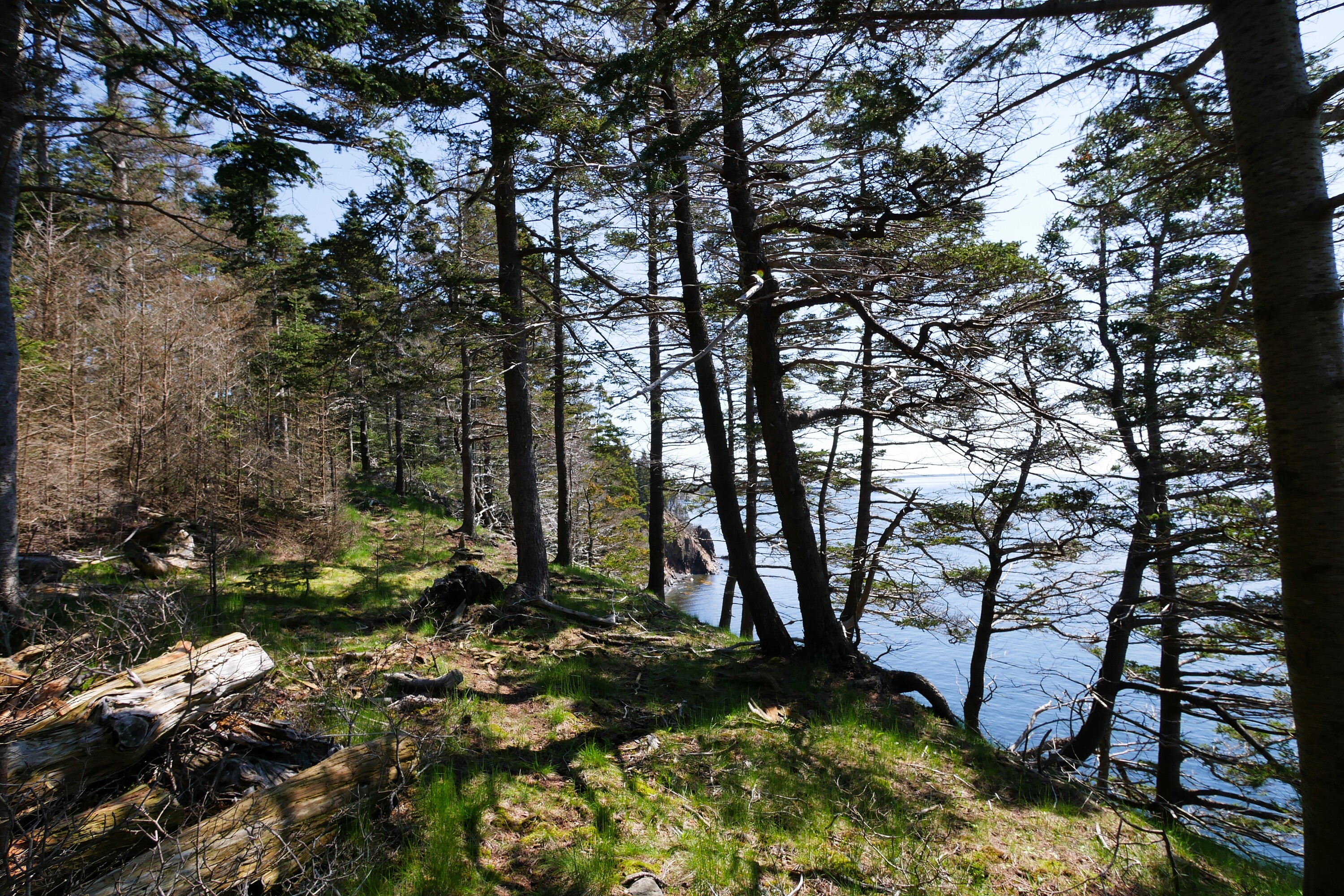  Feltzen South, South Shore - 物件實景