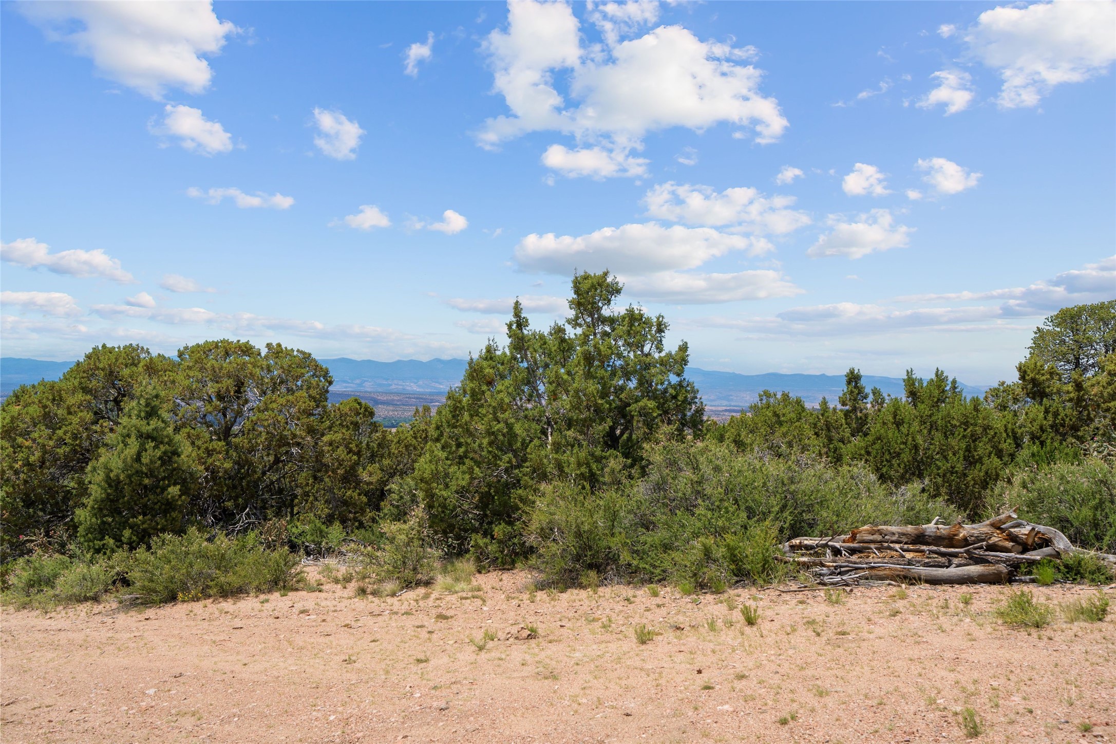  47 Pacheco Meadow Lane - 物件實景