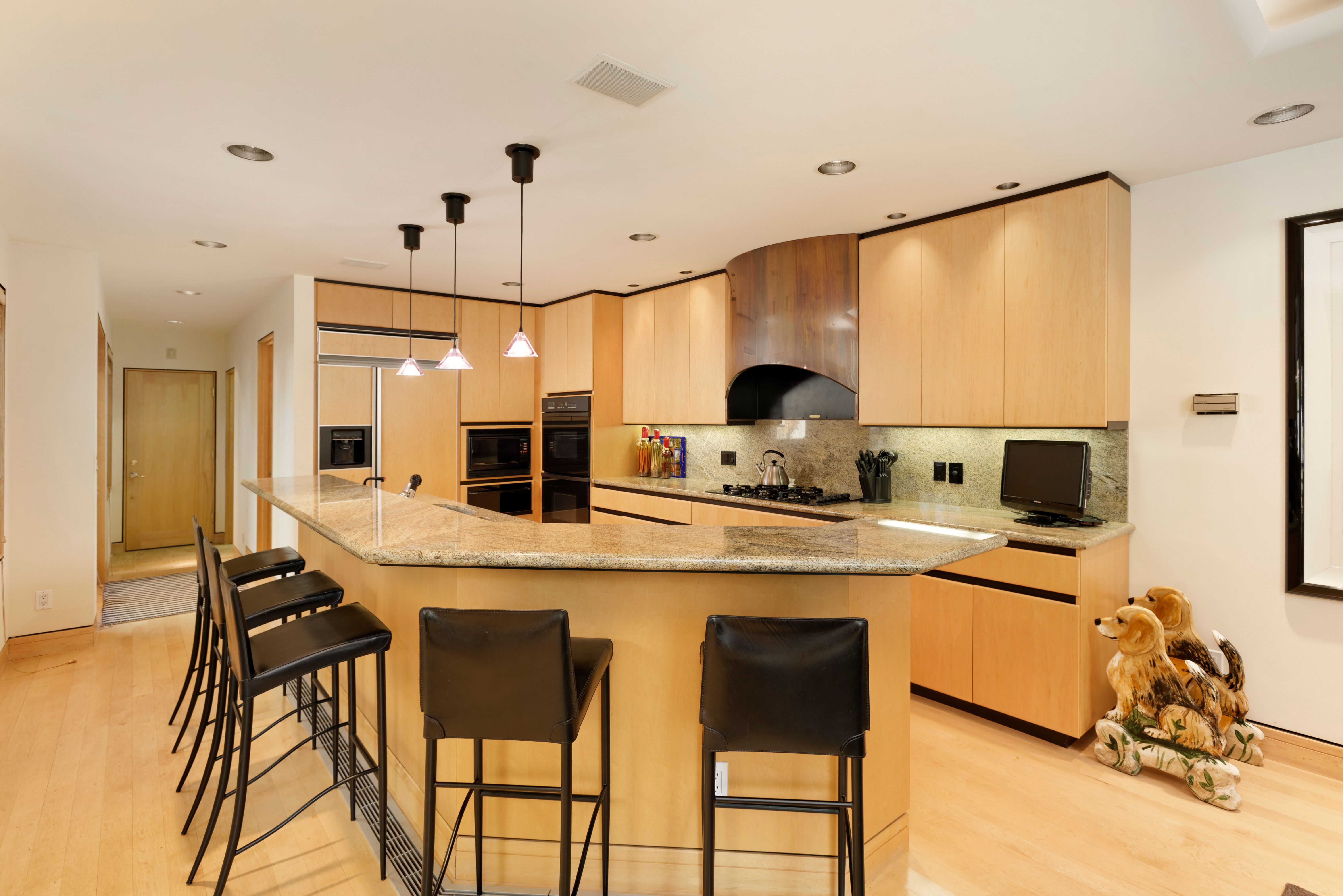  530 West Francis Street, Aspen, CO 81611 - 物件實景