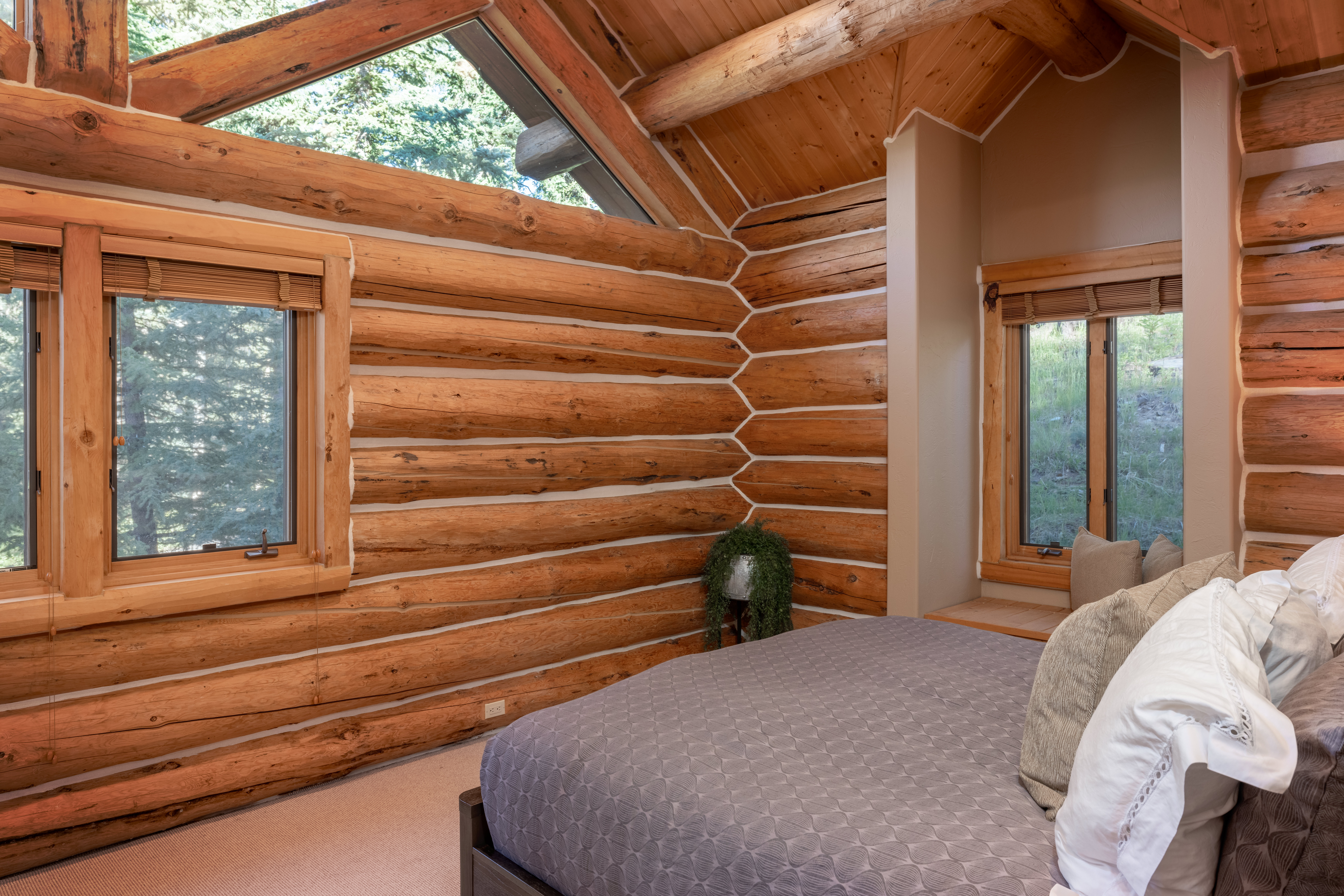  Private Telluride Retreat in Mountain Village - 物件實景