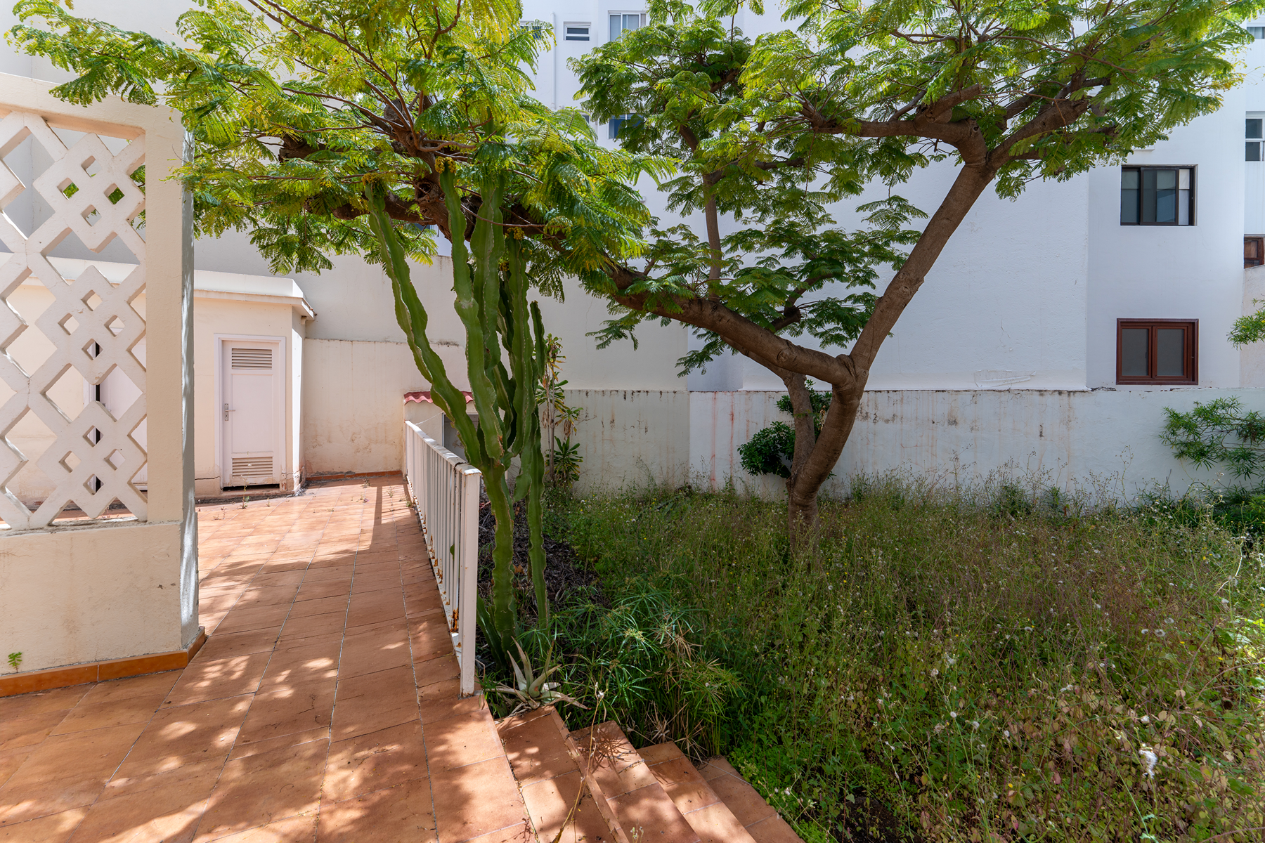  mansion to update in la rambla, santa cruz de tenerife - 物件實景