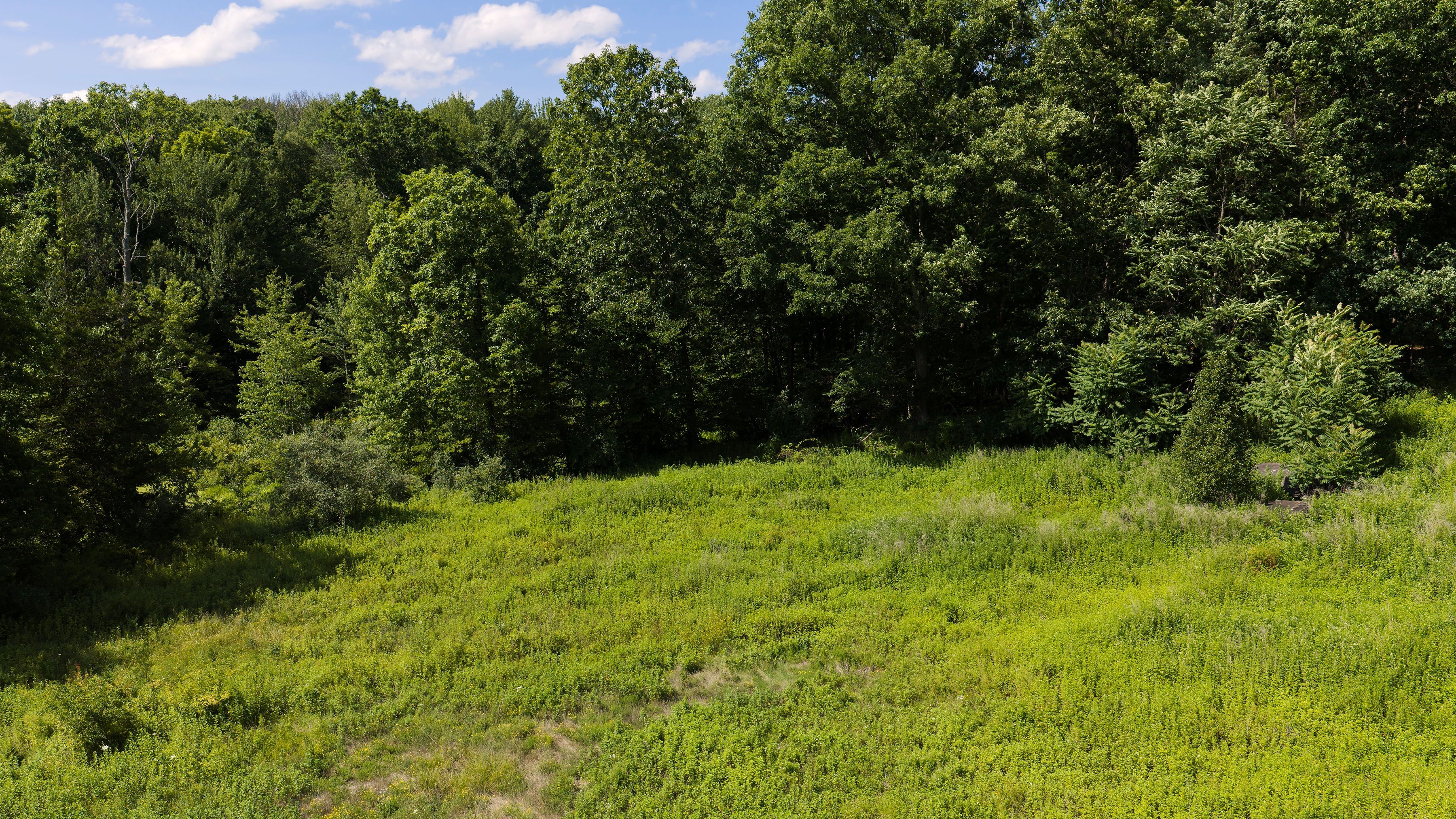 19 Spruce Street, Highland, NY 12528 - 物件實景