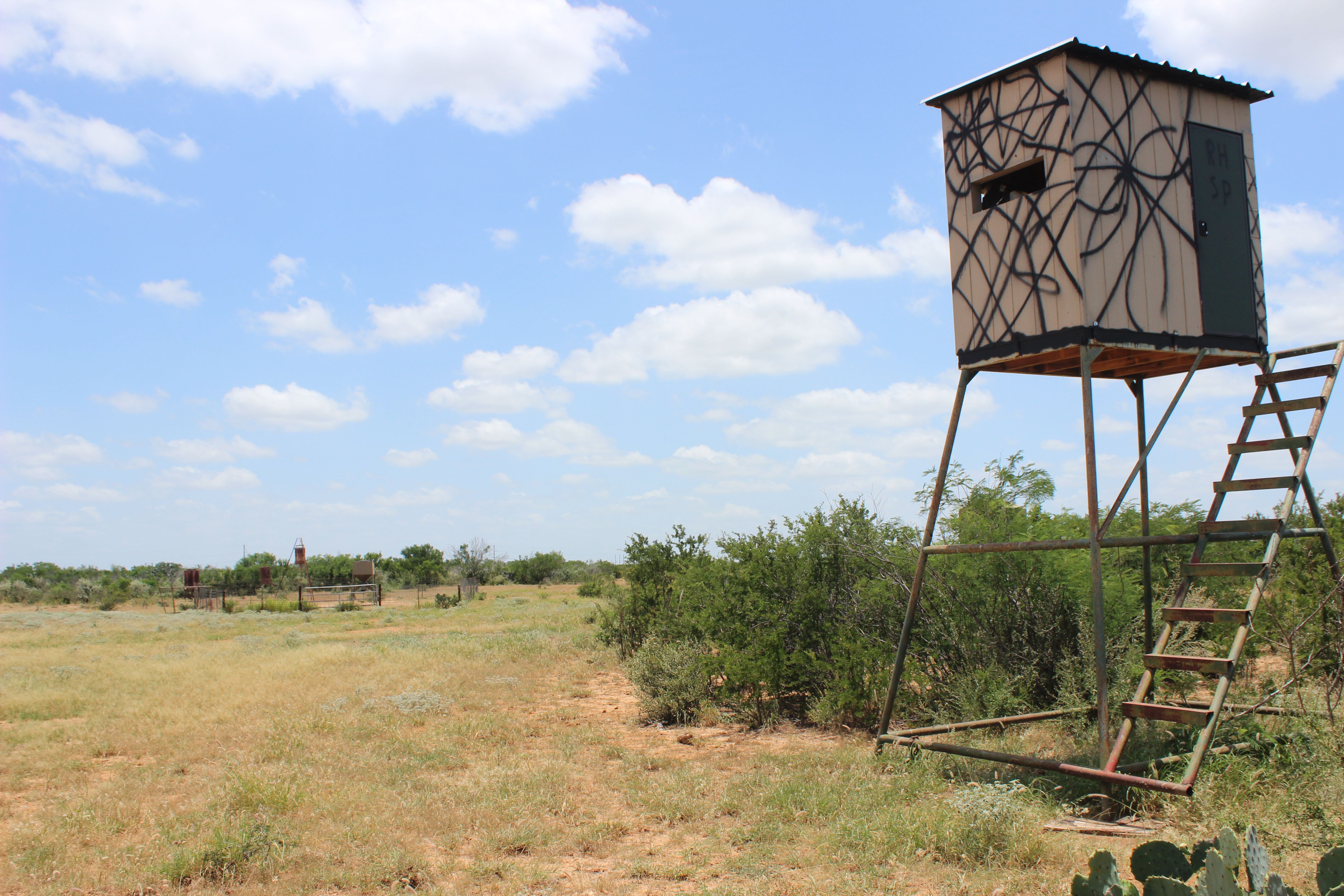  644+/- Acre Asherton Vista - 物件實景