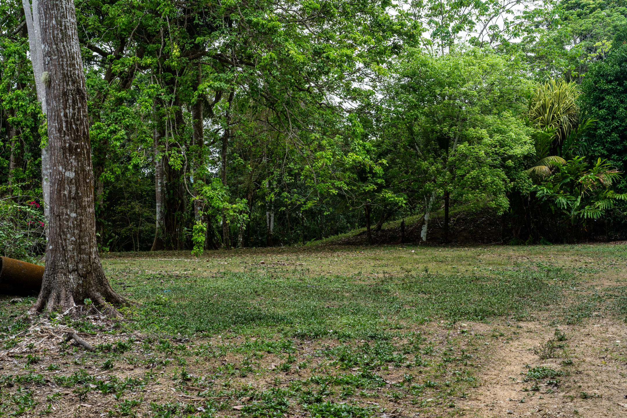 Lagunas, Dominical, Puntarenas, CR, 2 Bedrooms Bedrooms, ,1 BathroomBathrooms,Land,For Sale,Lagunas,1589118