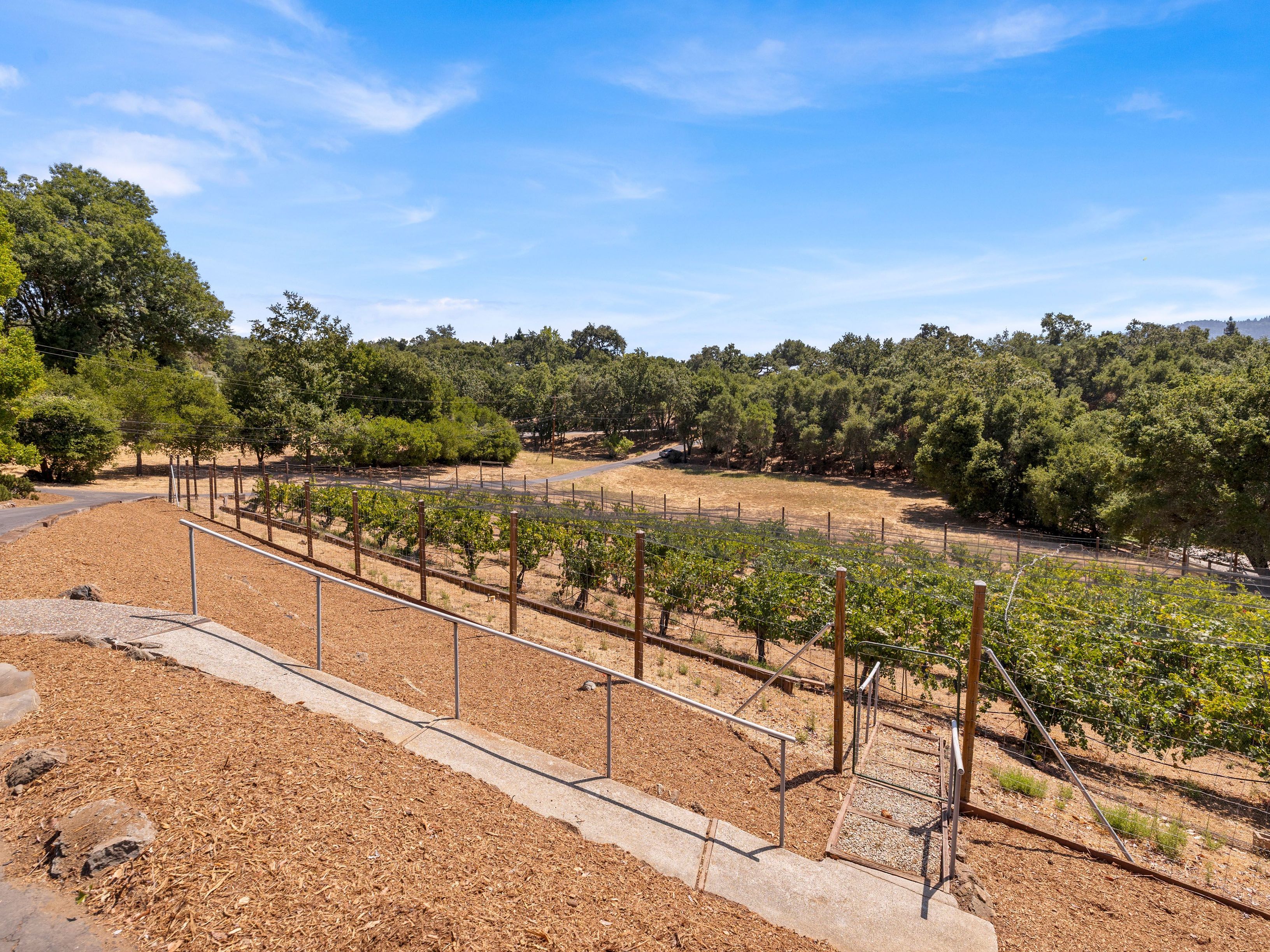  15 Naranja Way, Portola Valley, CA 94028 - 物件實景