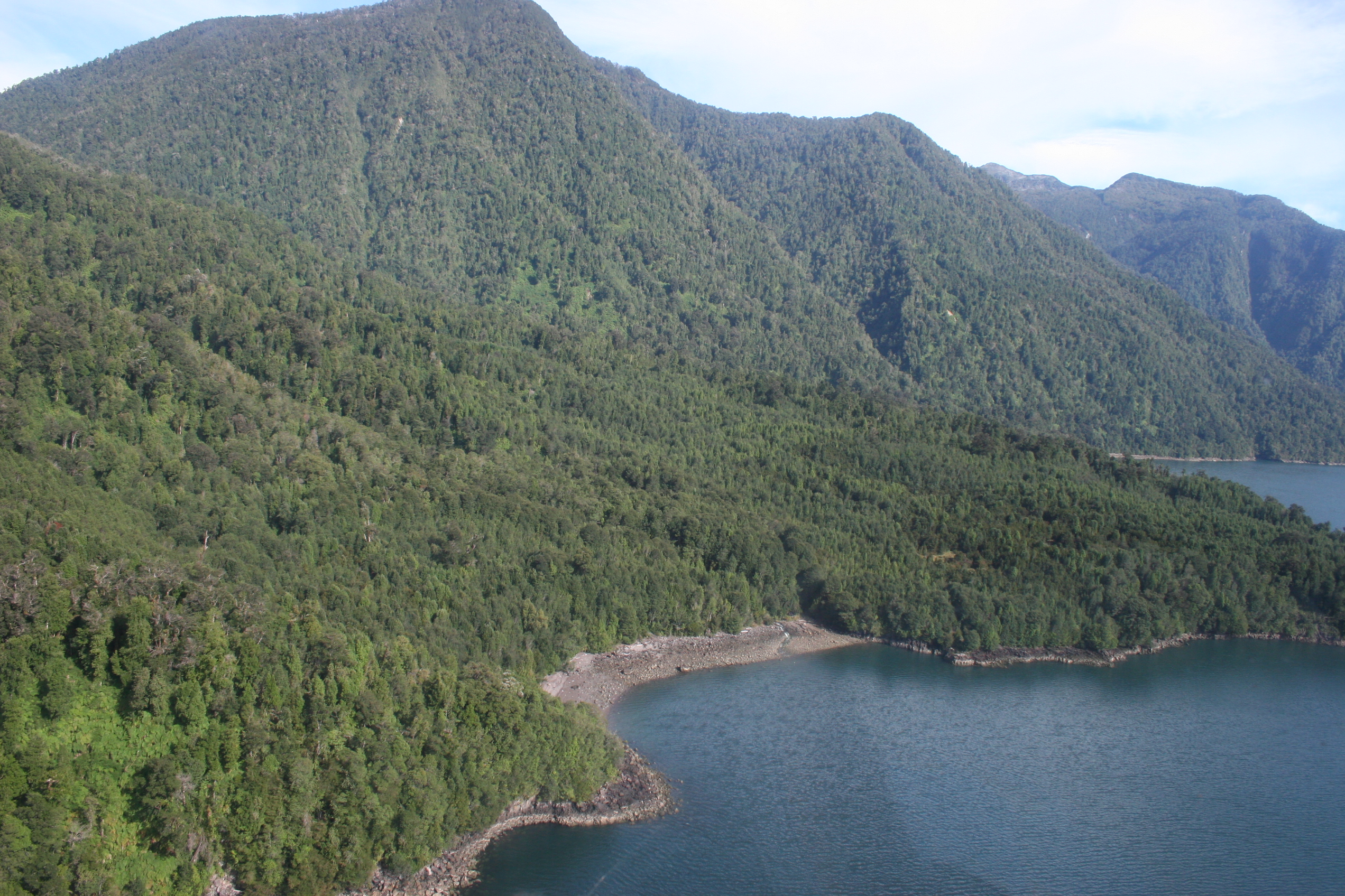35,000 hectares for Conservation and Carbon Credits – Hualaihué
