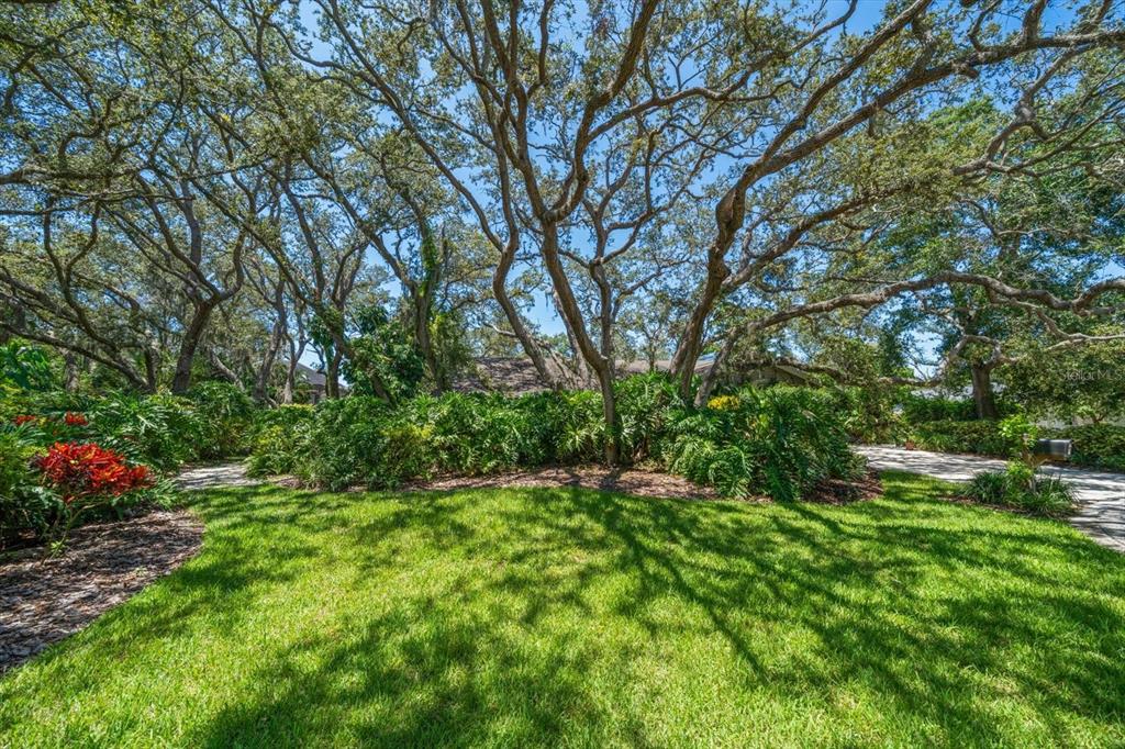Dunedin, Florida, 34698, United States, 4 Bedrooms Bedrooms, ,3 BathroomsBathrooms,Residential,For Sale,1995790