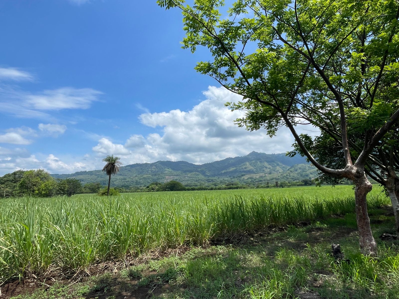 Escobal, Atenas, Atenas, Alajuela, CR, ,Land,For Sale,Escobal, Atenas,1627461
