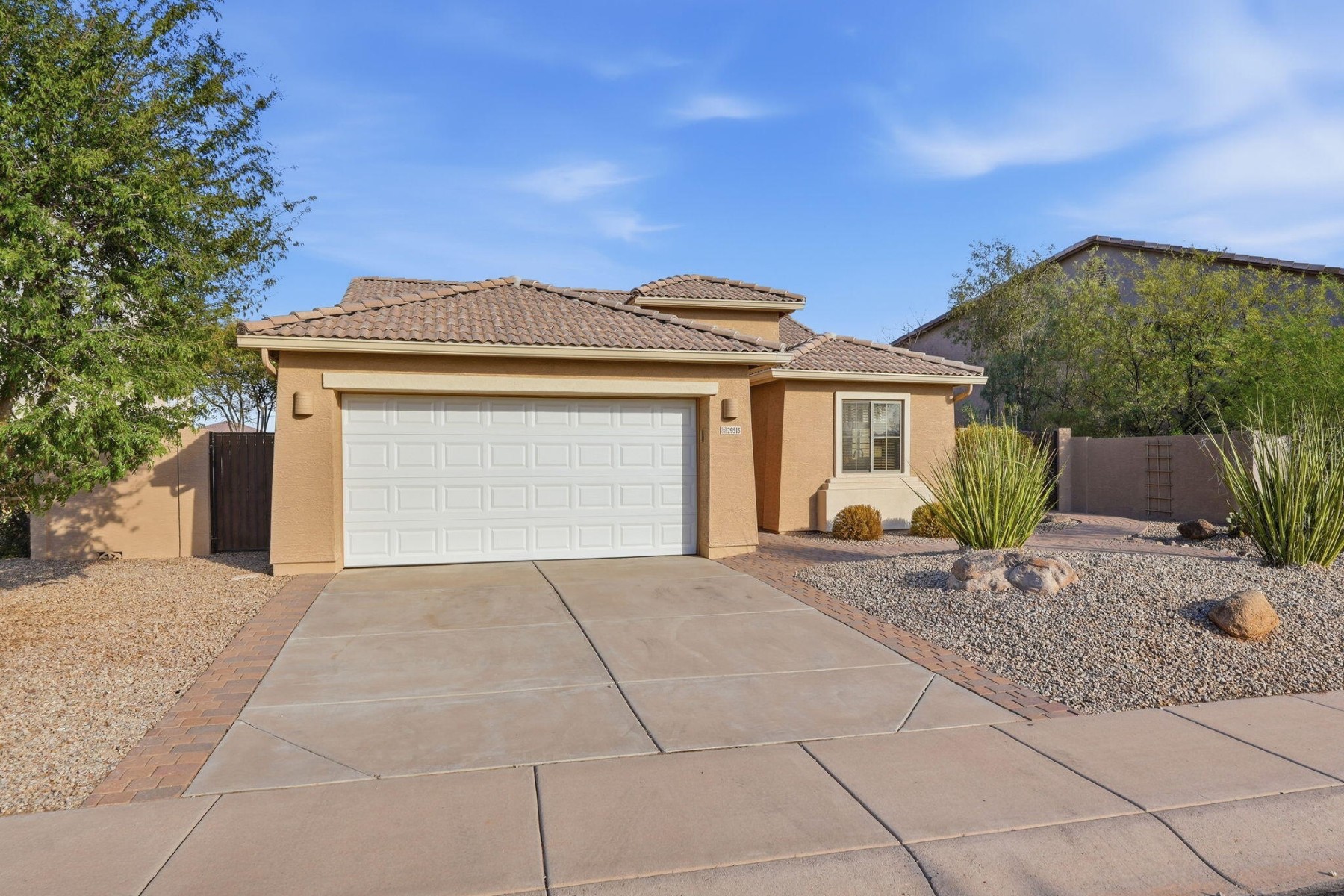  29515 N Little Leaf Dr ¦ San Tan Valley, AZ - 物件實景