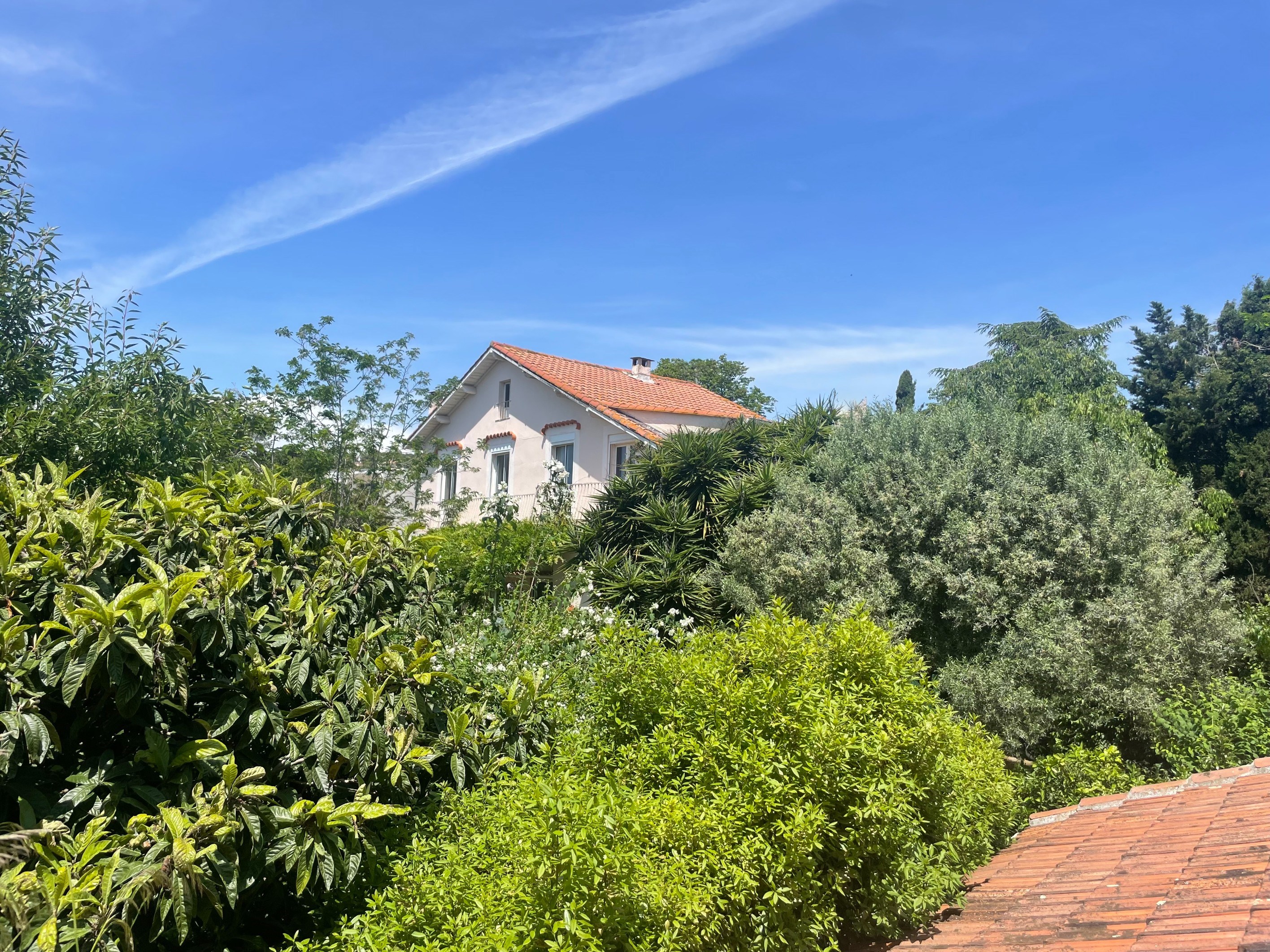  In a green setting on Mont Saint-Clair, house to renovate - 物件實景