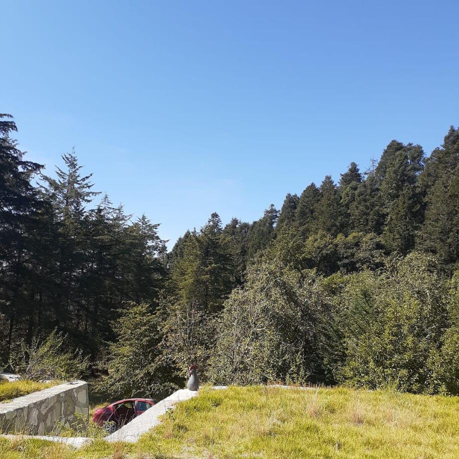 Mineral del Chico, Hidalgo, 42120, Mexico, 1 Bedroom Bedrooms, ,Residential,For Sale,1958011