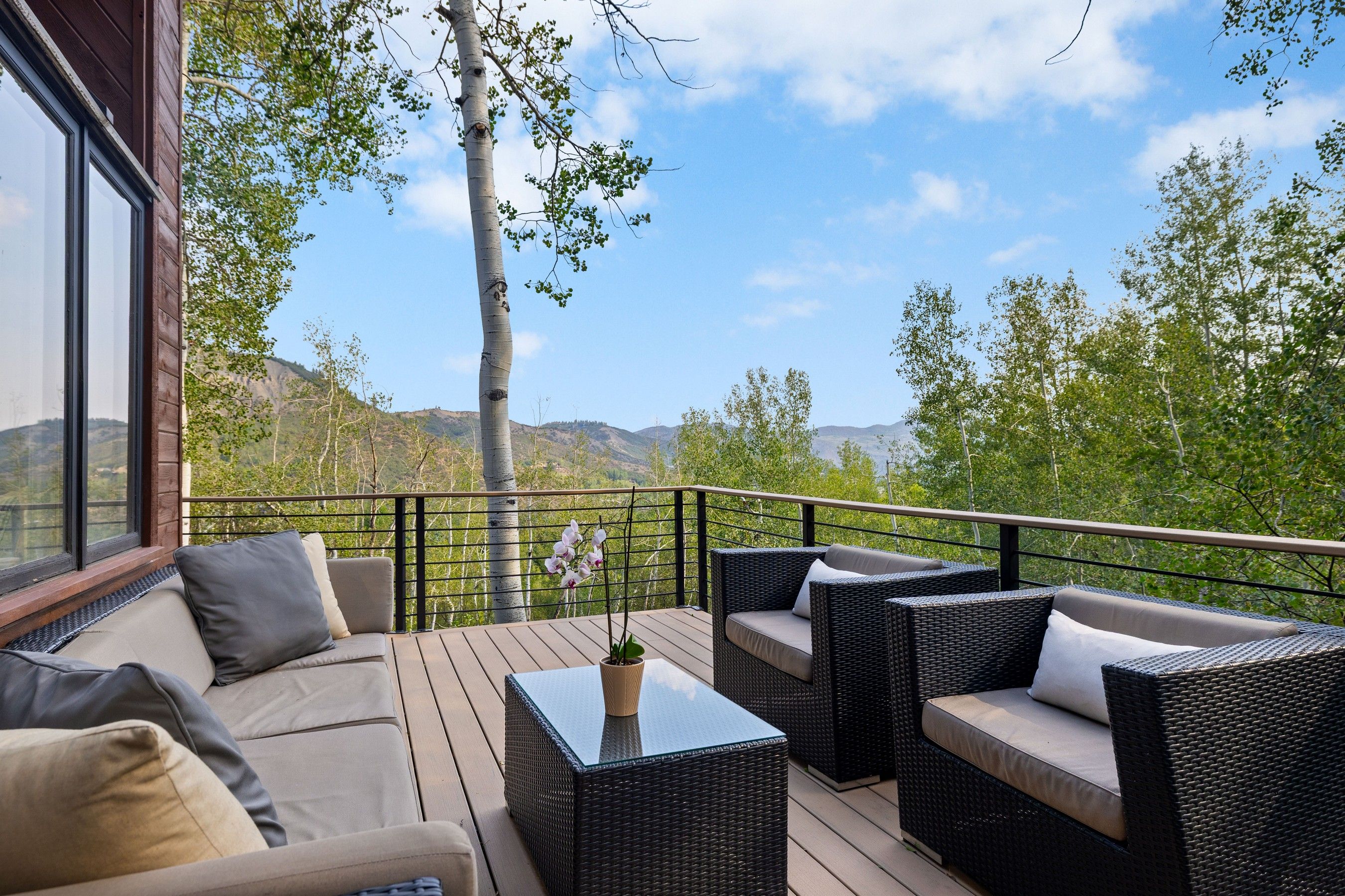 399 Maple Ridge Lane, Aspen, CO, 81611 - 物件實景