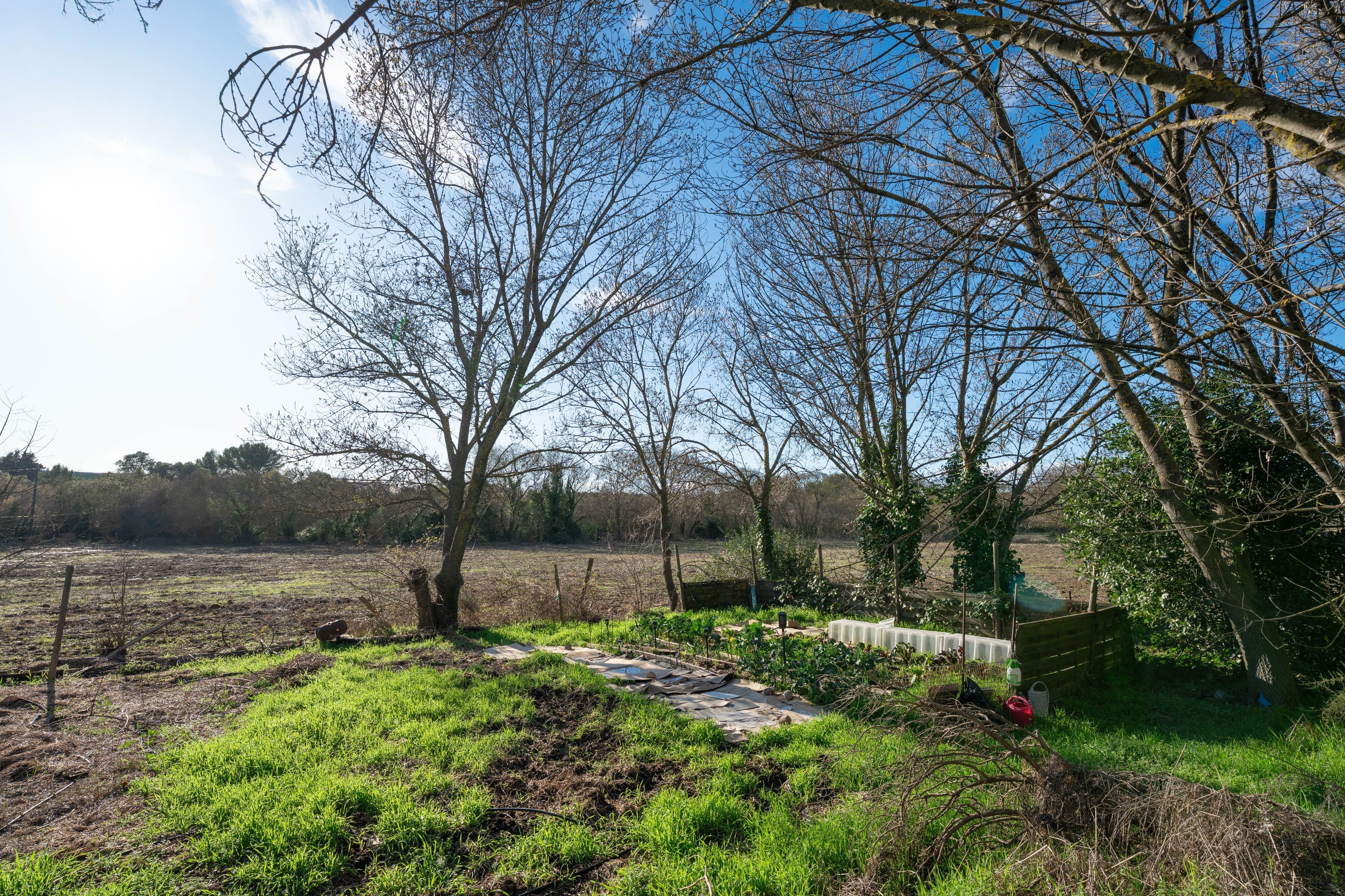  Equestrian excellence in a preserved natural setting - 物件實景