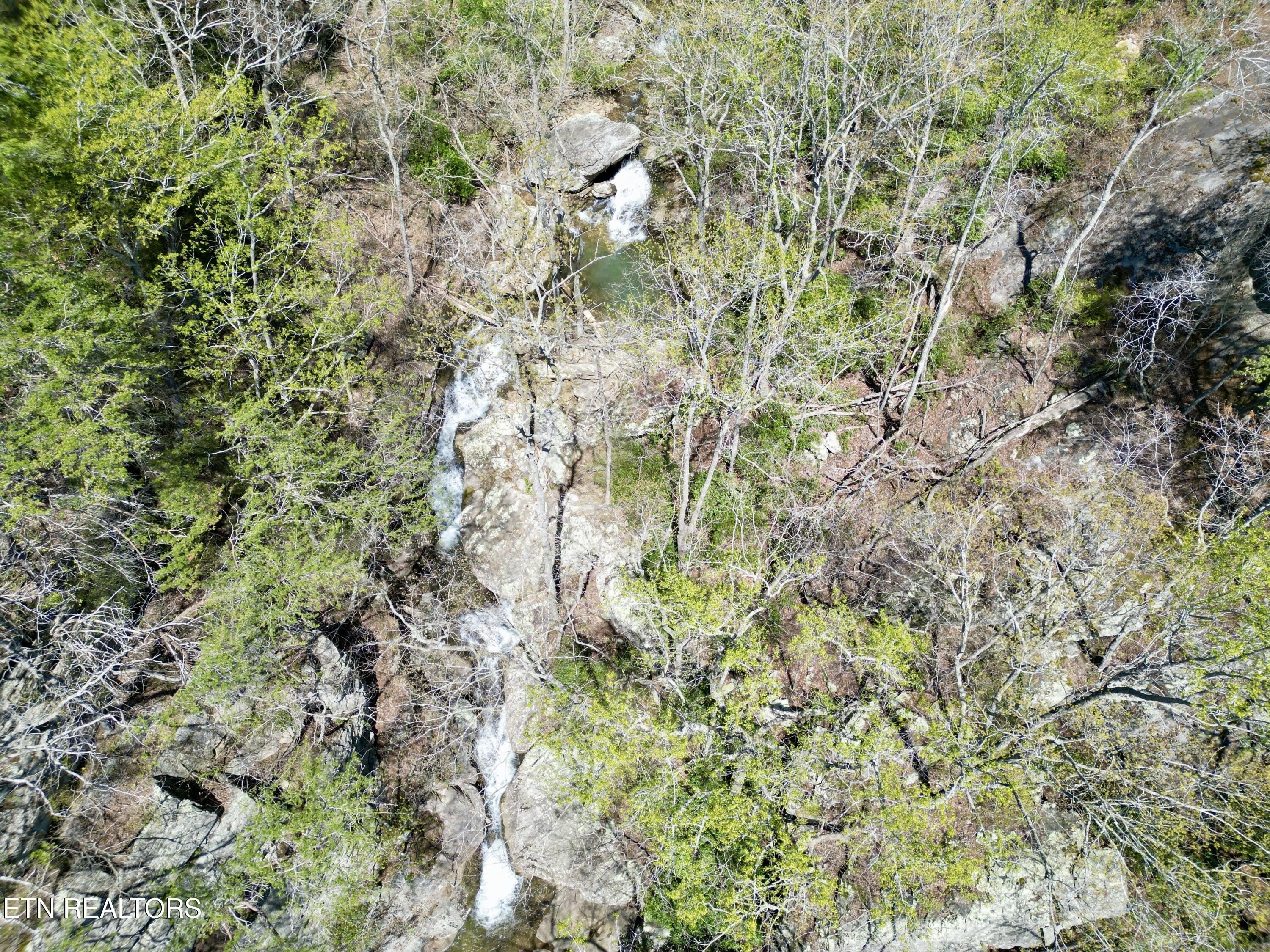 Pikeville, Tennessee, 37367, United States, ,Land,For Sale,1975616