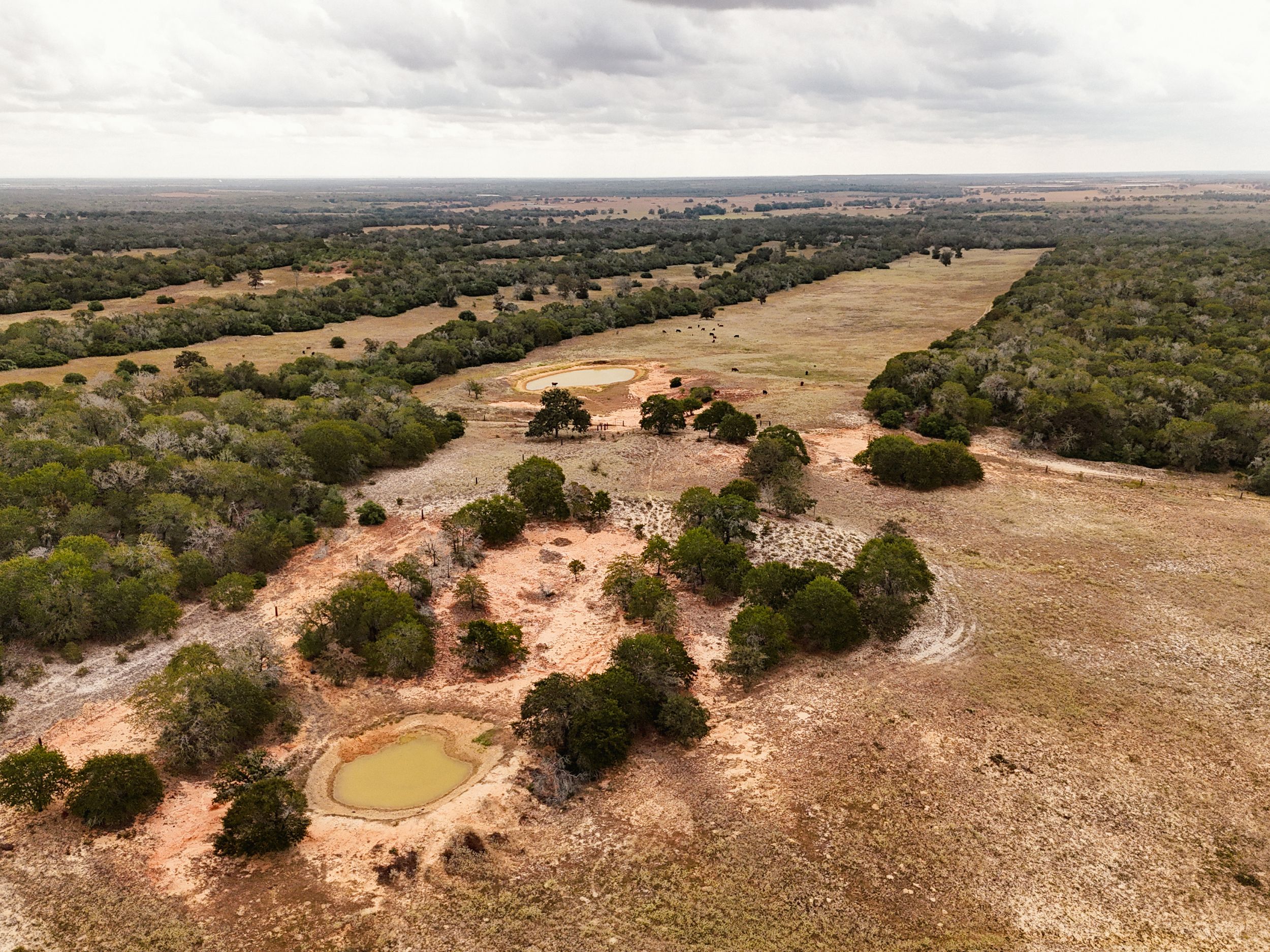  860+/- Acre PQR Ranch in Gonzales County - 物件實景