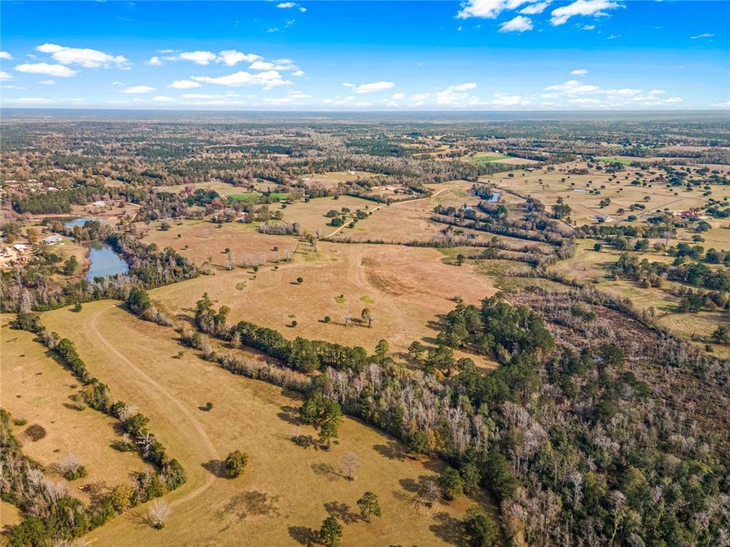 227.5 Acres Old Military (hwy 1082) Road, Bush, Louisiana, 70431, United States, ,Land,For Sale,227.5 Acres Old Military (hwy 1082) Road,1434121