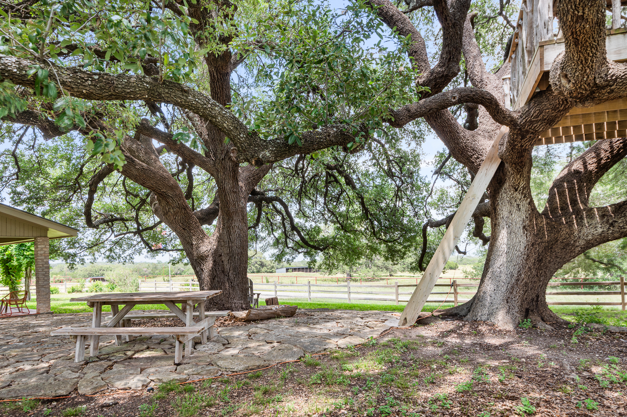  Otra Vez Ranch - Heart of the Hill Country - 物件實景