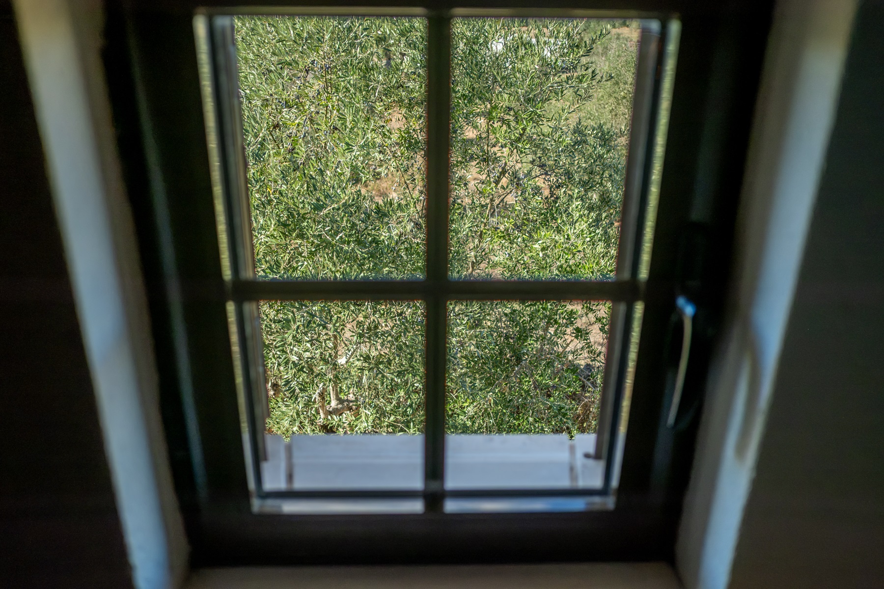  House, 4 bedrooms, for Sale - 物件實景