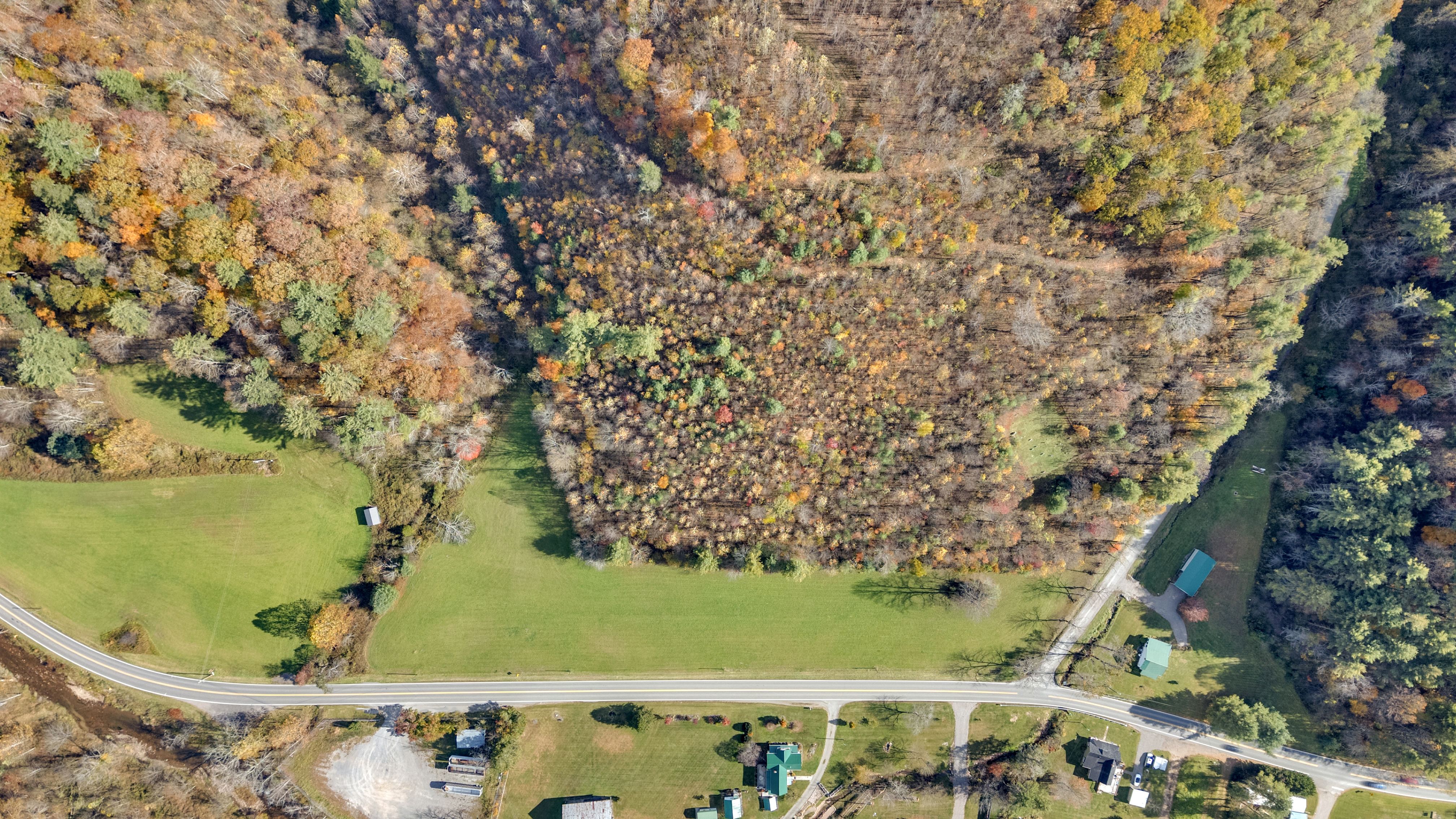  TBD Highway 91, Laurel Bloomery, TN, 37680 - 物件實景