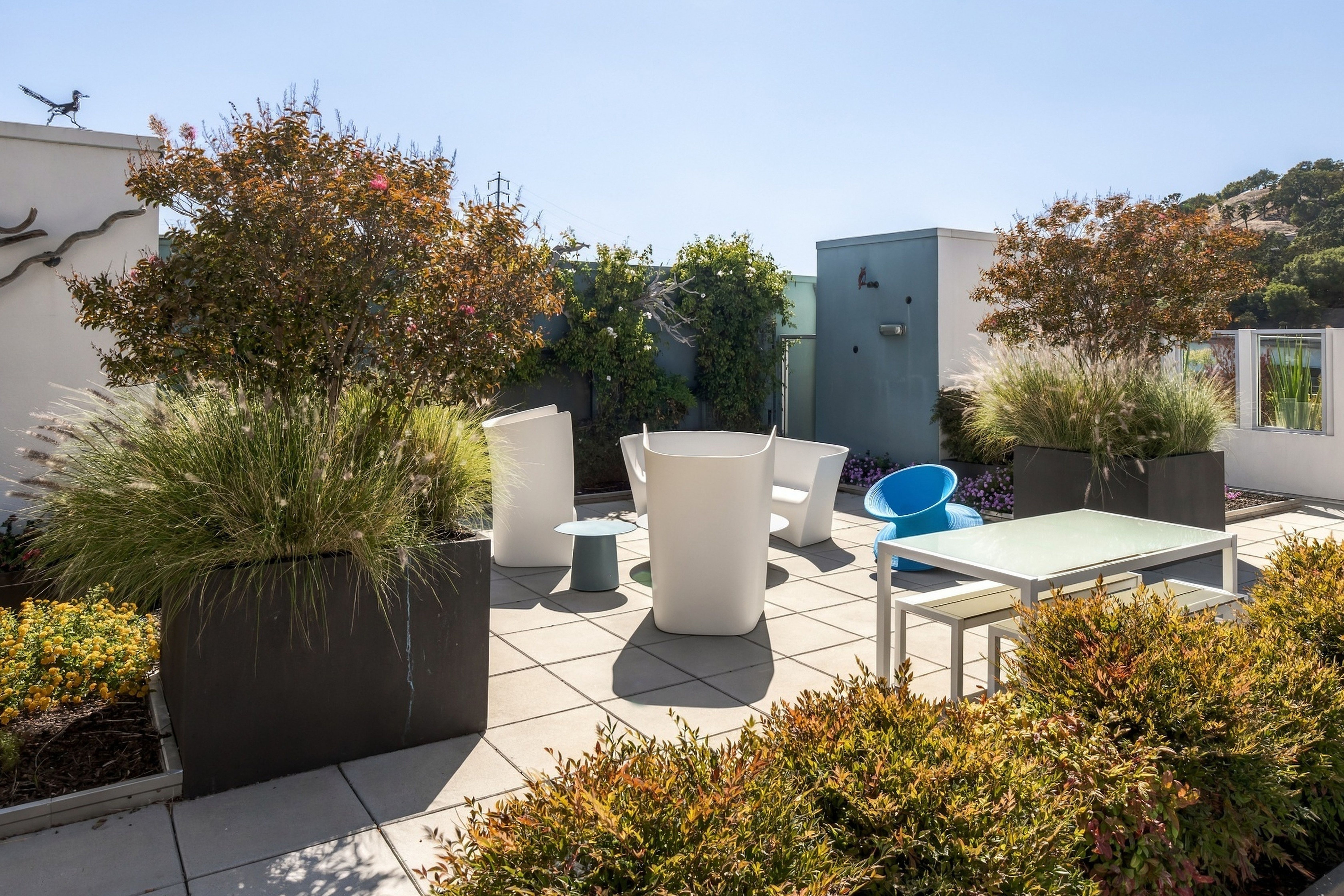  Penthouse Living Above Walnut Creek - 物件實景