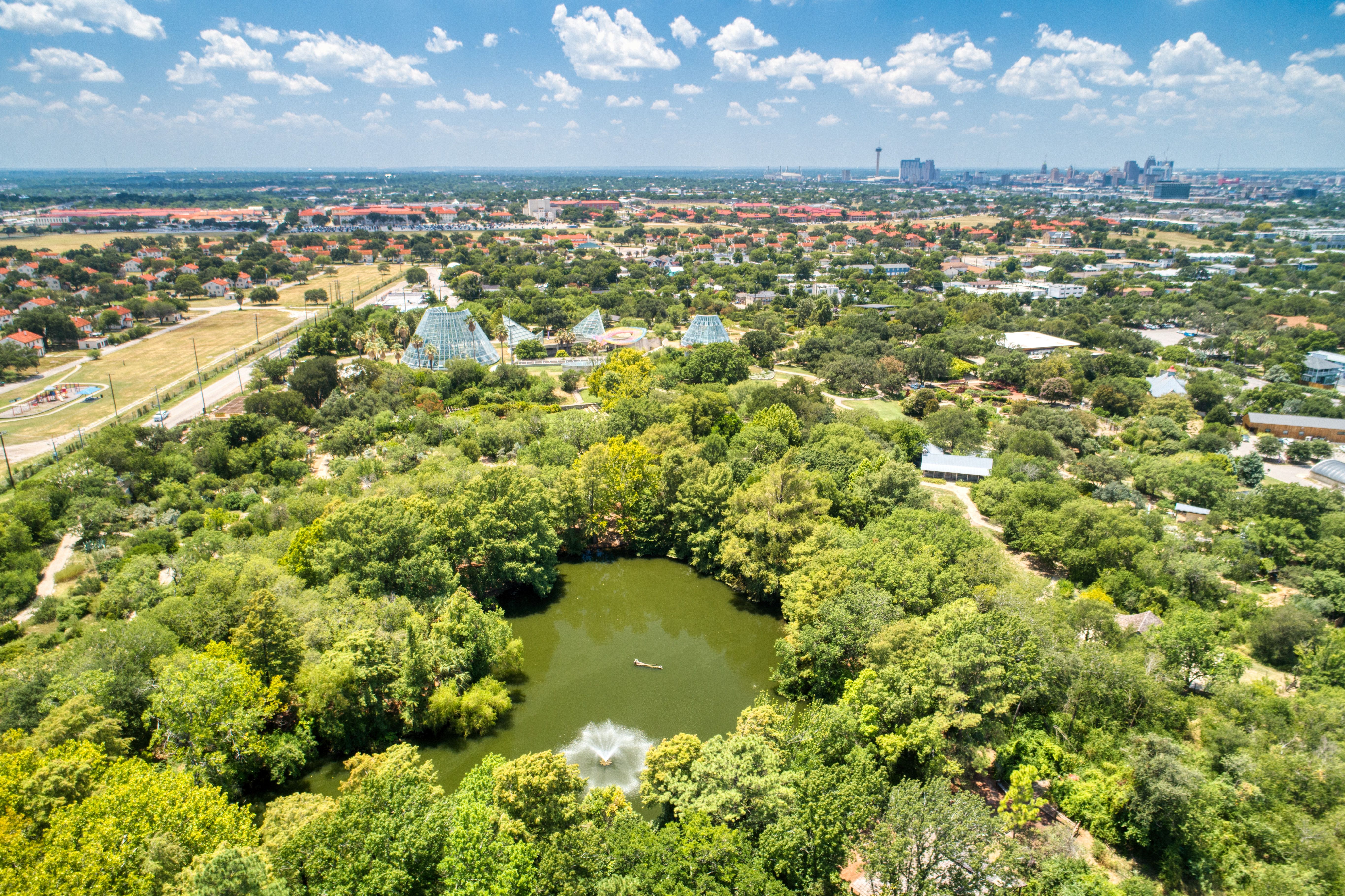  Great Investment Opportunity in Mahncke Park - 物件實景