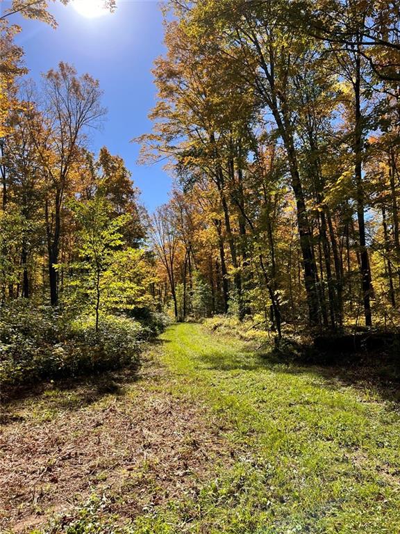 Hayward, Wisconsin, 54843, United States, ,Land,For Sale,1983896