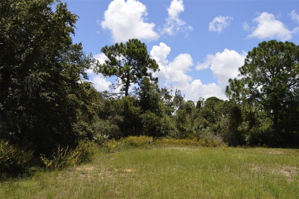 Edgewater, Florida, 32141, United States, ,Land,For Sale,1723256