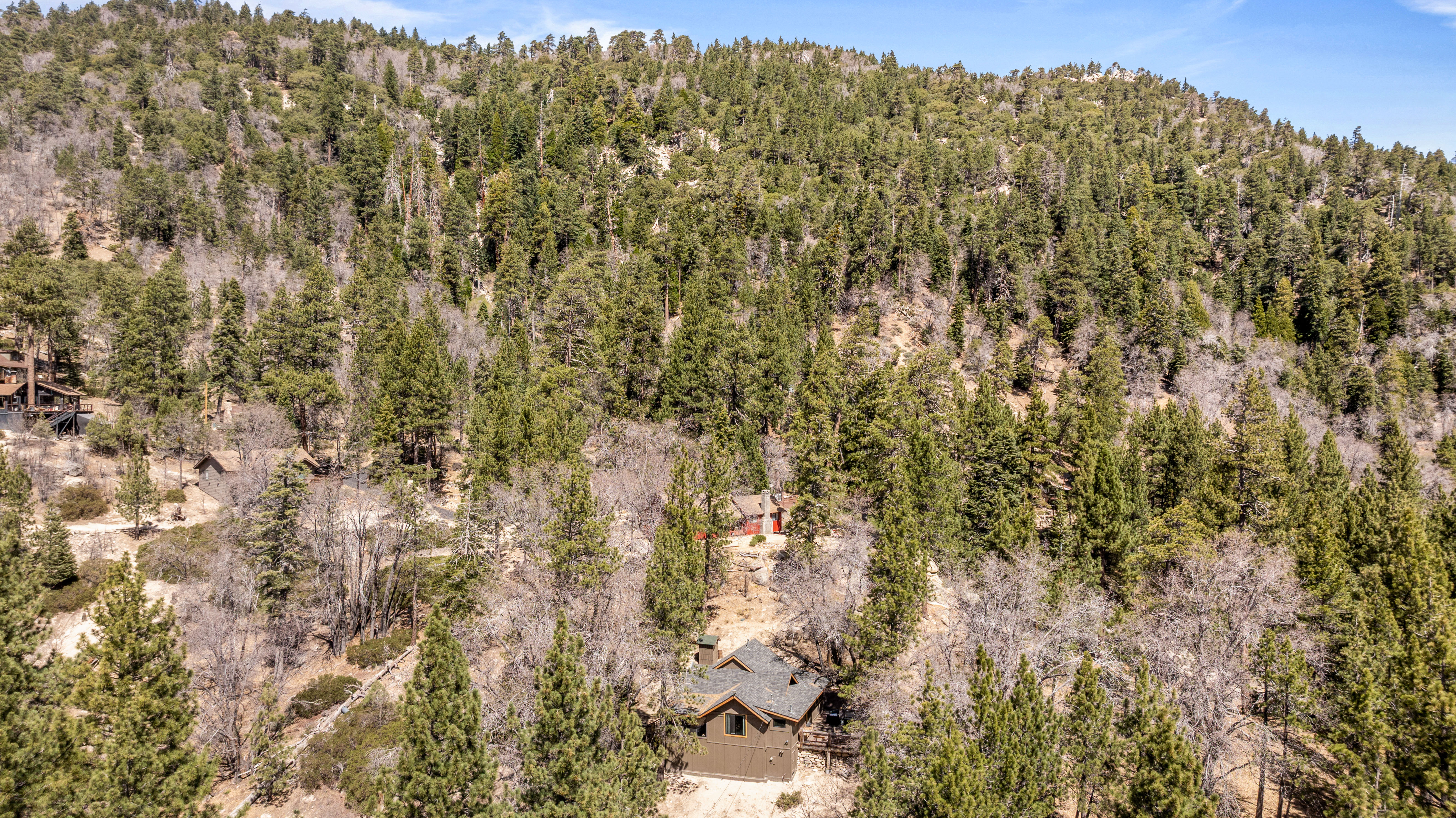  260 Nolan Trail, Fawnskin, CA 92333 - 物件實景