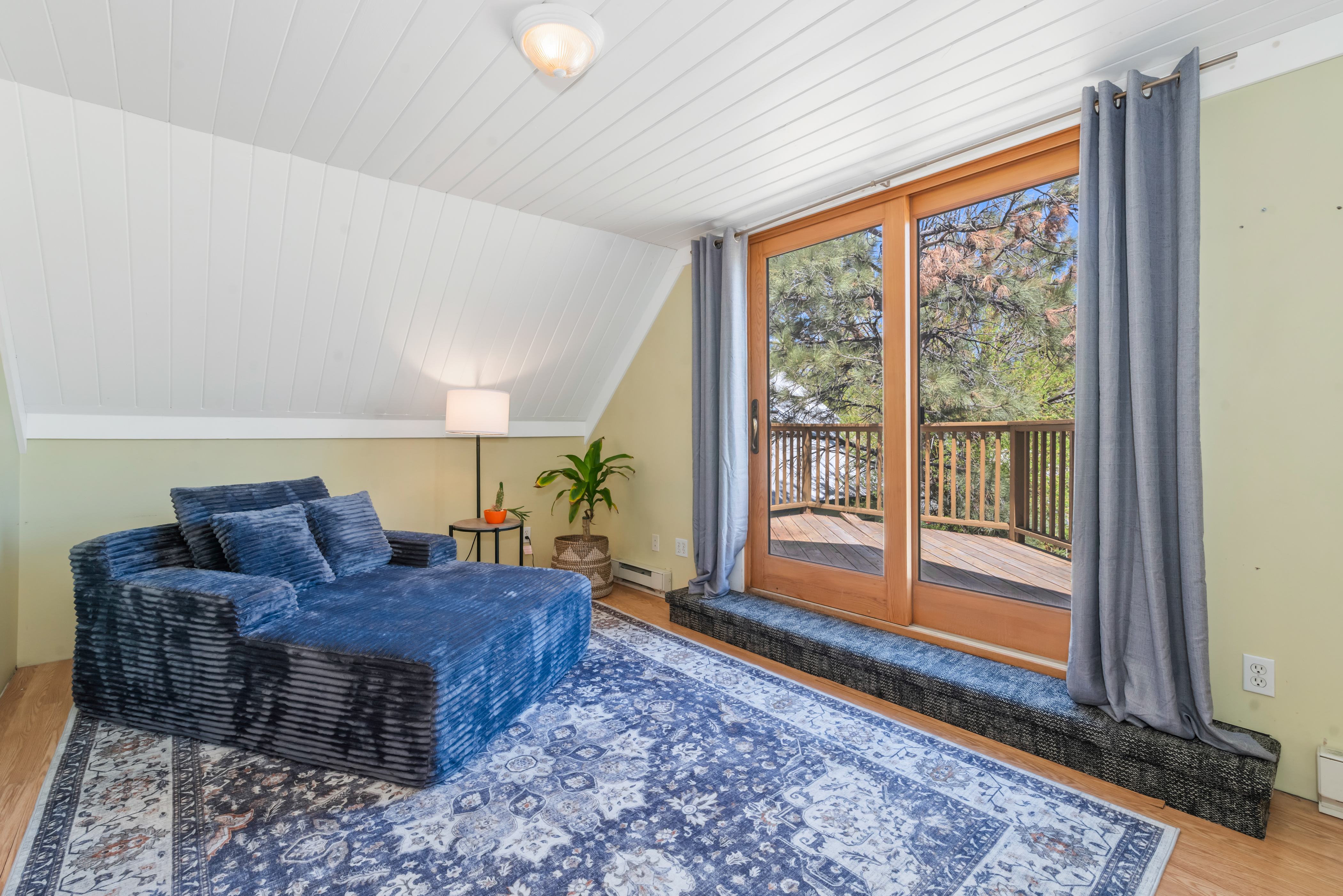  234 Hill Street, Steamboat Springs, CO 80487 - 物件實景